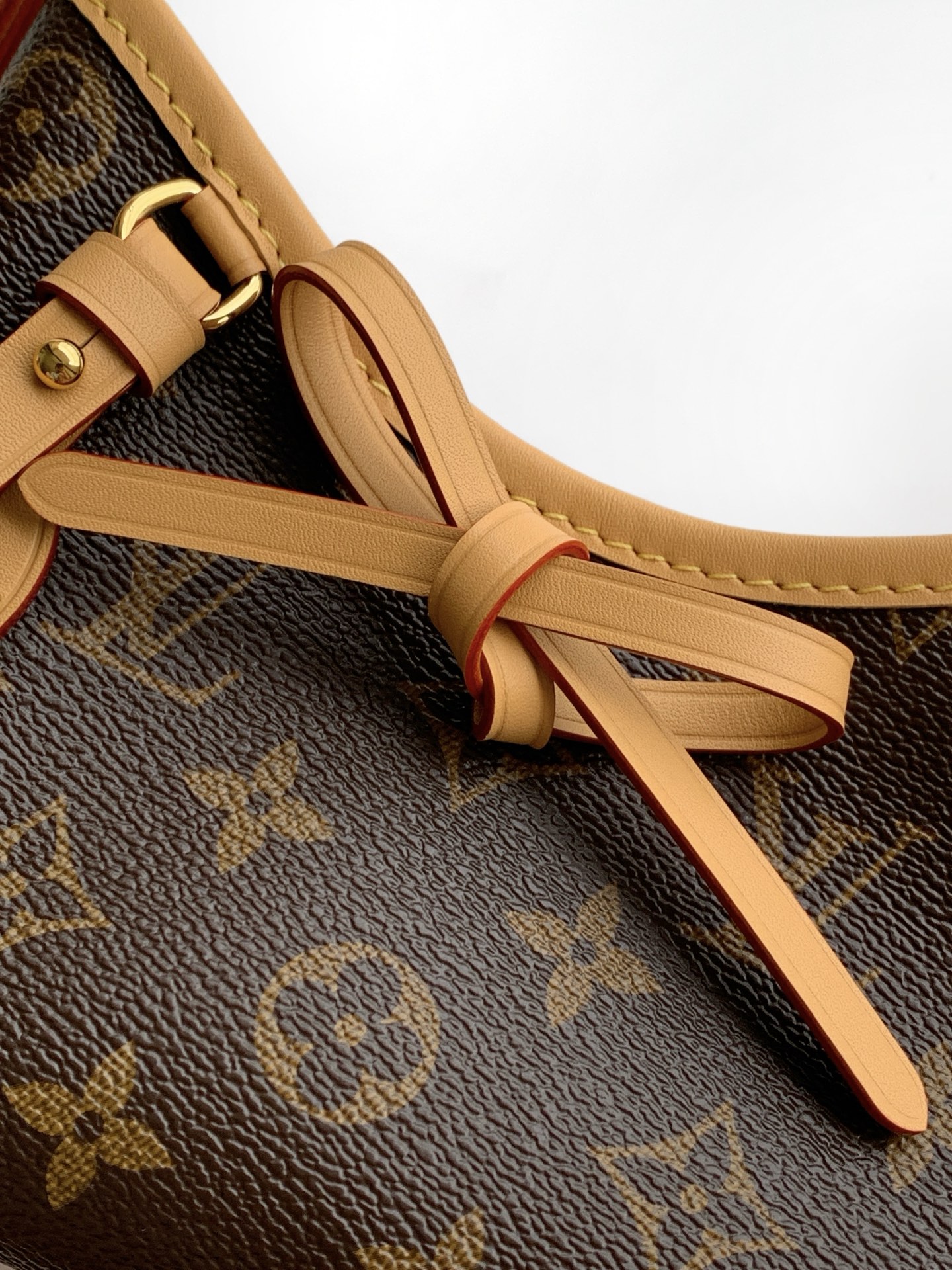 Louis Vuitton Nano CarryAll Monogram Canvas Handbag - Image 5