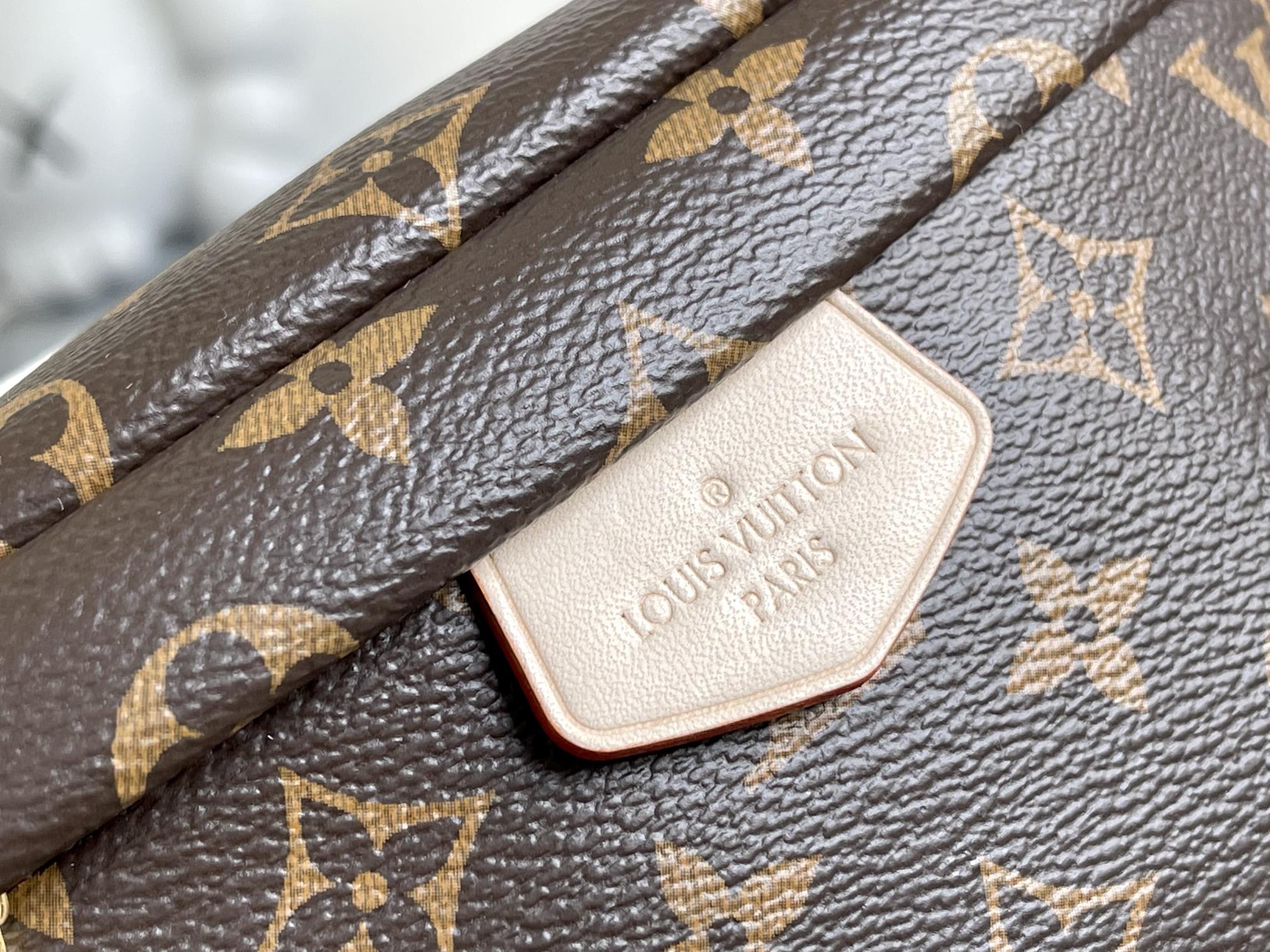 Louis Vuitton Monogram Bumbag Belt Bag - Image 5
