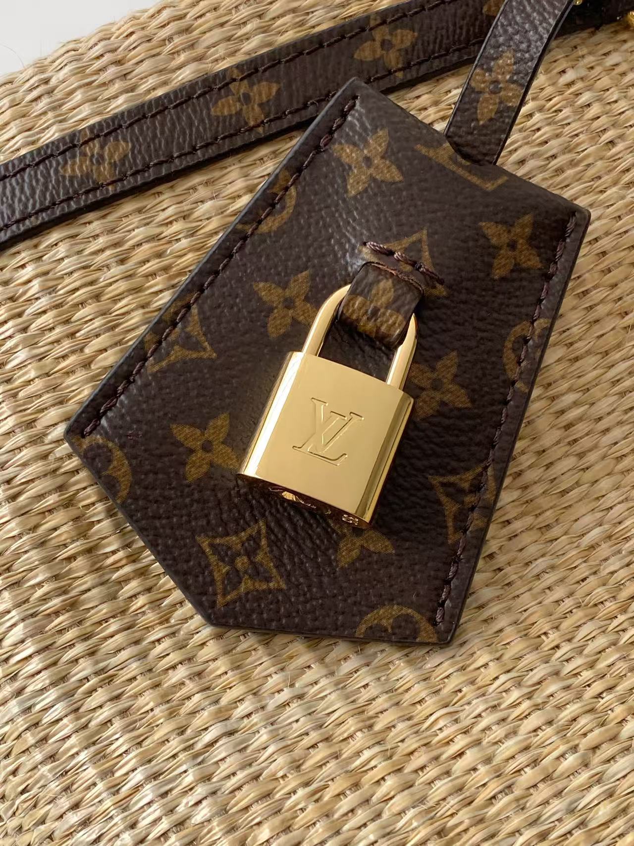 Louis Vuitton Express Small Handbag with Monogram Trim - Image 5