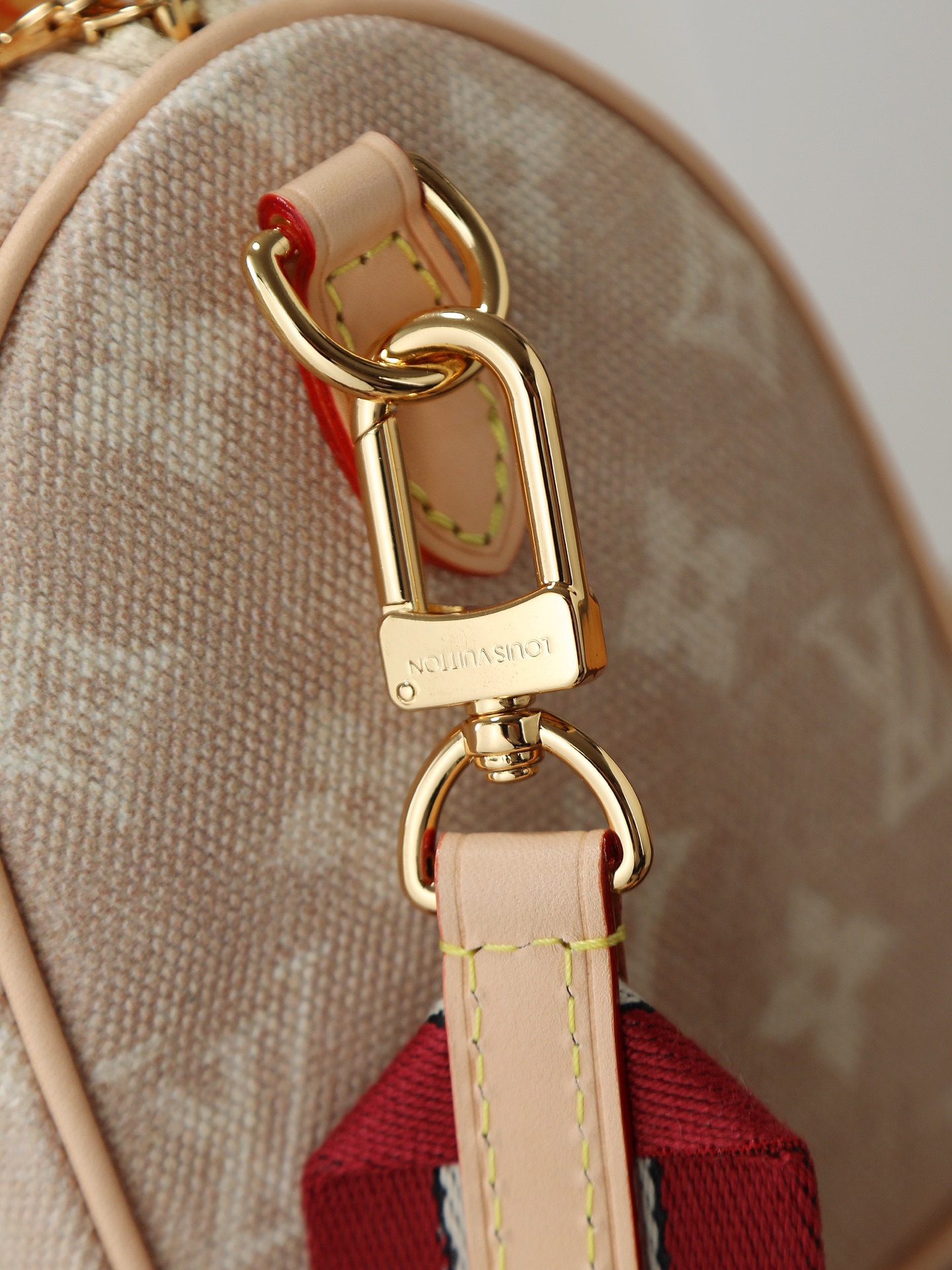 Louis Vuitton Speedy 20 Bandoulière Meowgram Handbag - Image 5