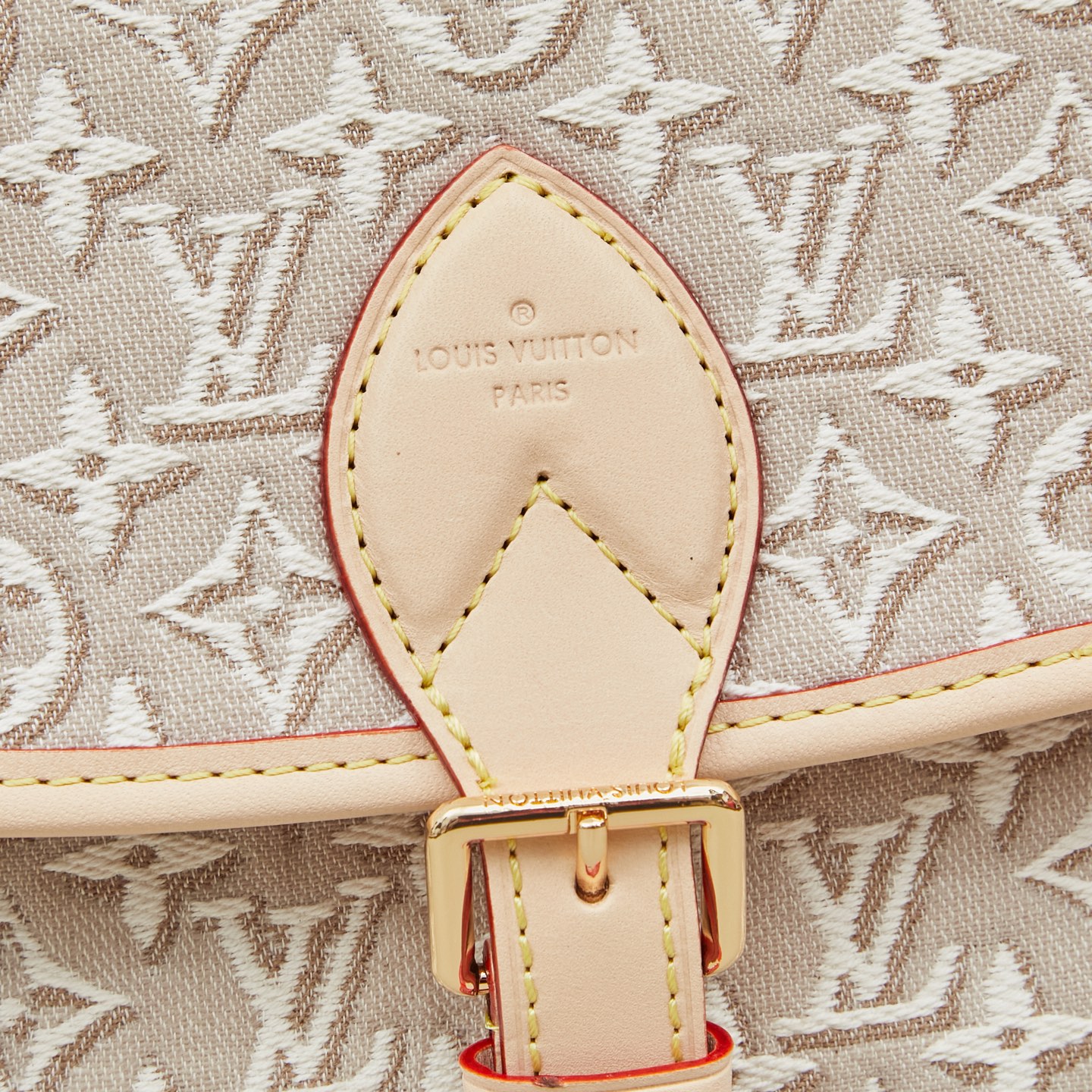 Louis Vuitton Diane M29795 Shoulder Bag - Image 5