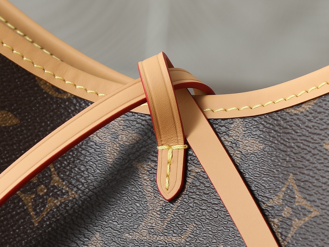 Louis Vuitton CarryAll Small Handbag in Monogram Canvas - Image 5