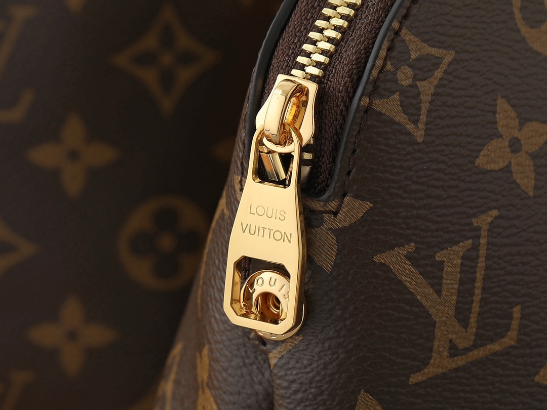 Ever More PM Monogram Canvas Handbag - Image 5
