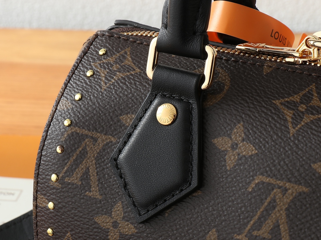 Louis Vuitton Speedy Trunk Handbag - Image 5