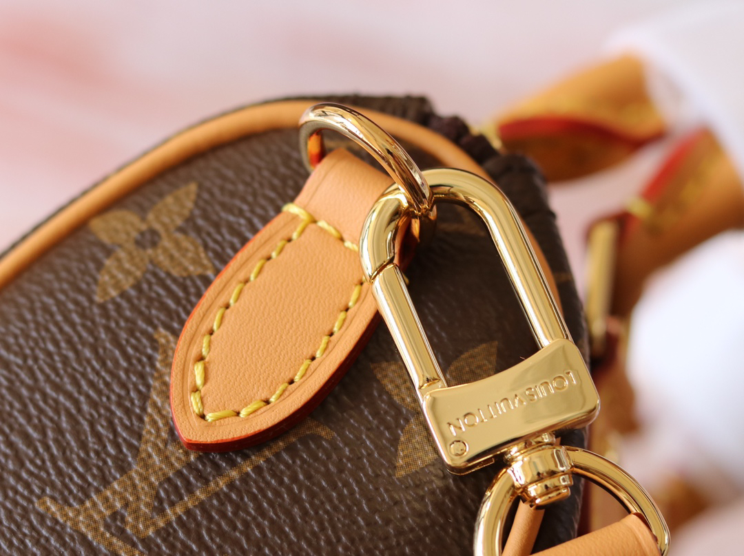 Louis Vuitton Nano Speedy Monogram Canvas Crossbody Bag - Image 5