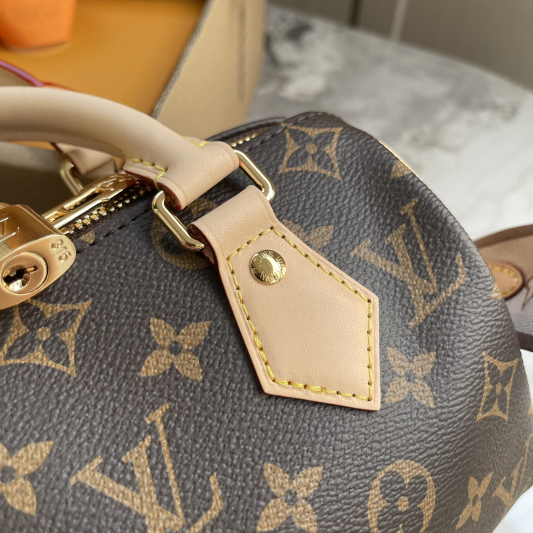 Louis Vuitton Speedy Bandouliere 20 Monogram Canvas Crossbody Bag - Image 5