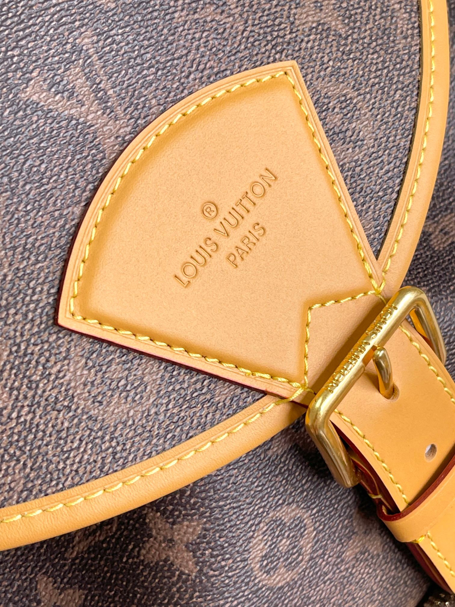 Louis Vuitton Montsouris Backpack in Monogram Dust Canvas - Image 5