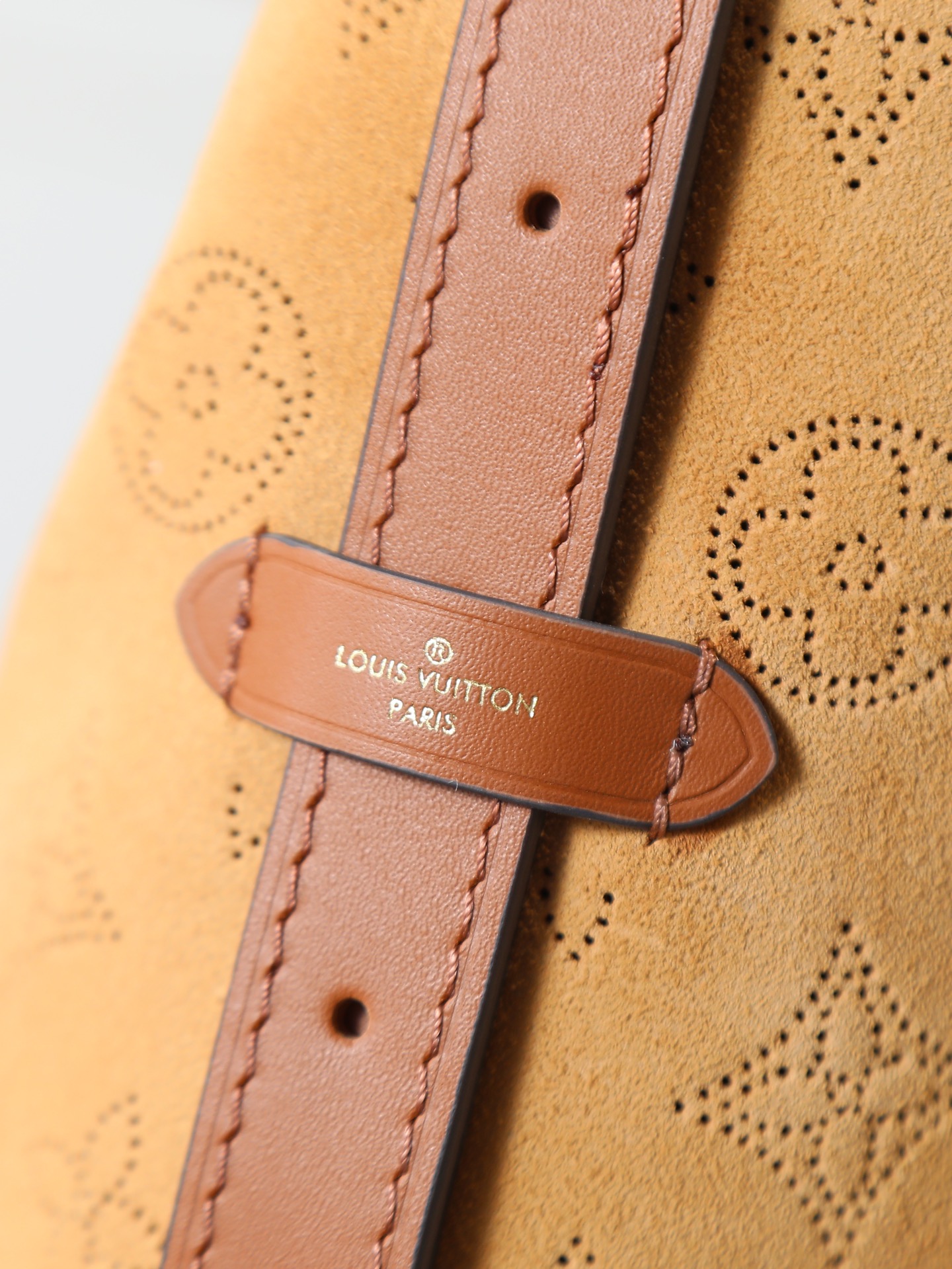 Louis Vuitton CarryAll Small Crossbody Bag from the LV Ski Collection - Image 5
