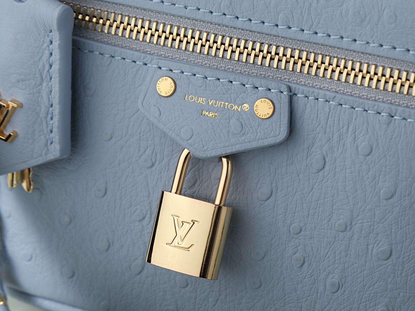 Louis Vuitton N85806 Blue Ostrich-Pattern Leather Crossbody Bag - Image 5