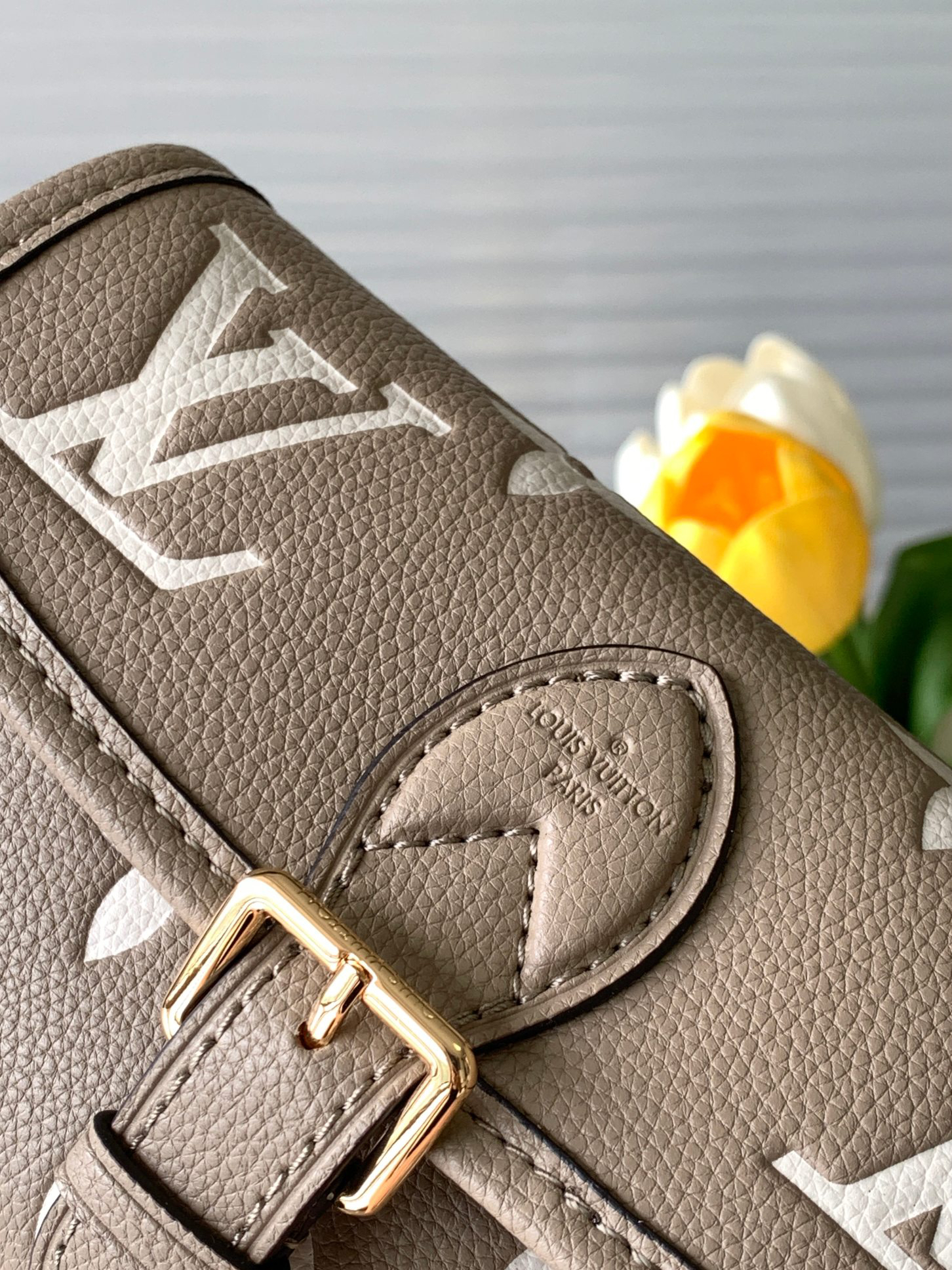 Nano Diane Monogram Empreinte Leather Crossbody Bag – M83300 Apricot - Image 5