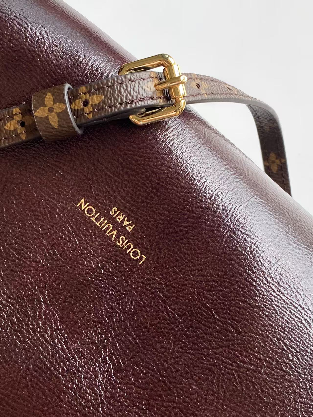 Louis Vuitton Exess Small Handbag with Monogram Trim - Image 6