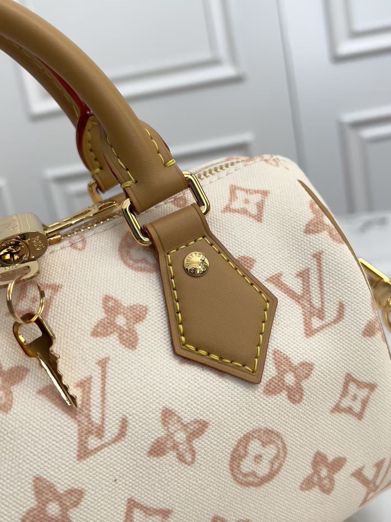 Louis Vuitton Speedy Bandoulière 20 Handbag - Image 6