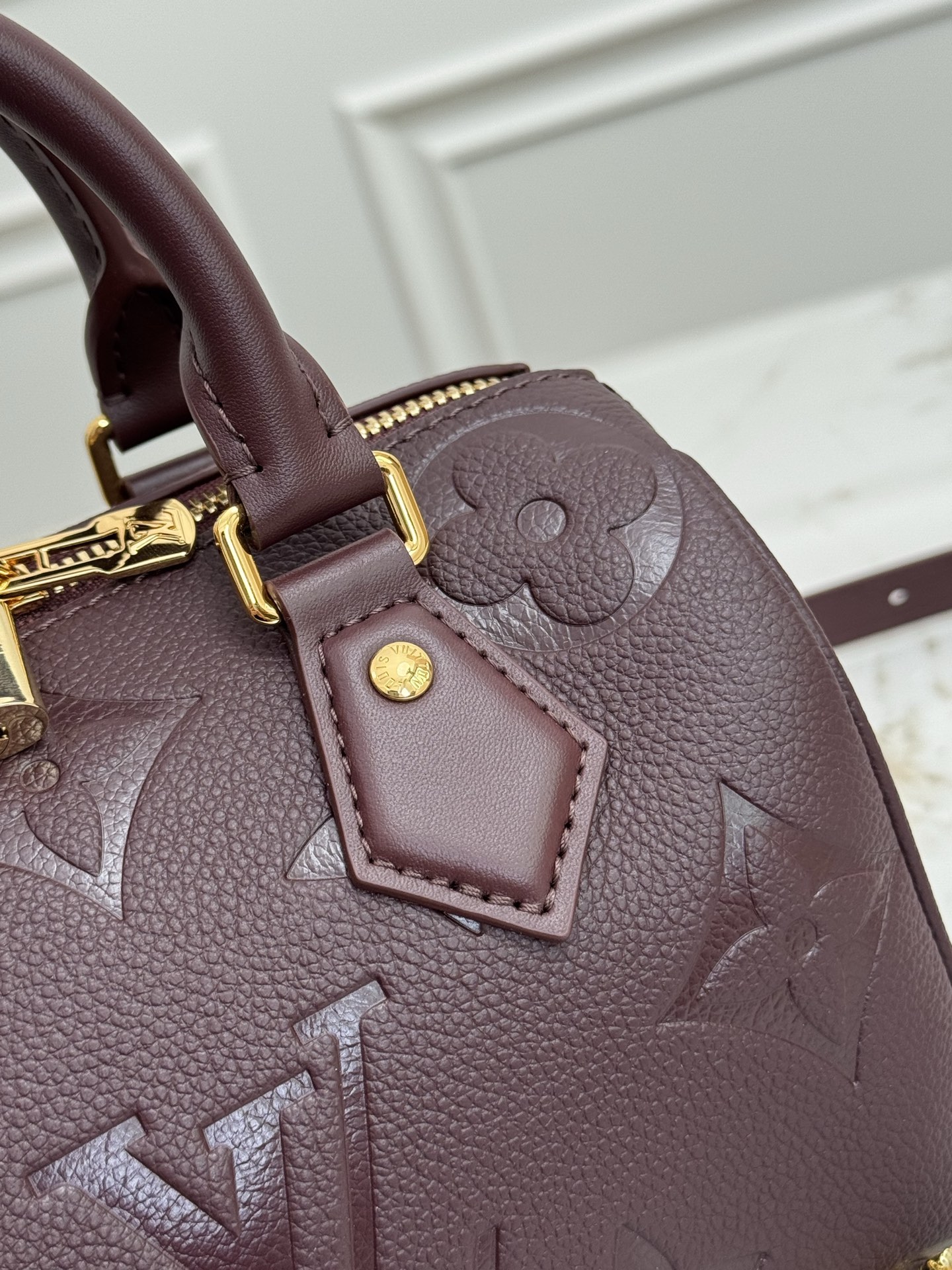 Louis Vuitton Sedy Bandouliere 20 Handbag, Bordeaux - Image 6