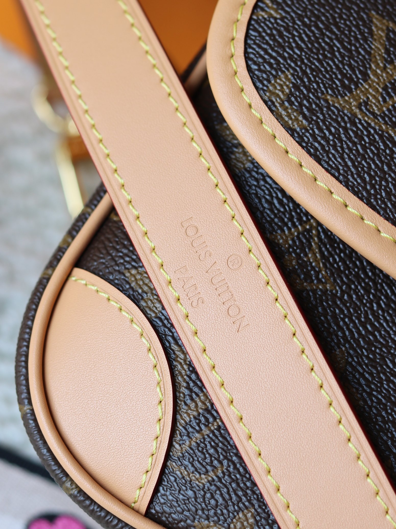 Louis Vuitton Diane Monogram Crossbody Bag - Image 6
