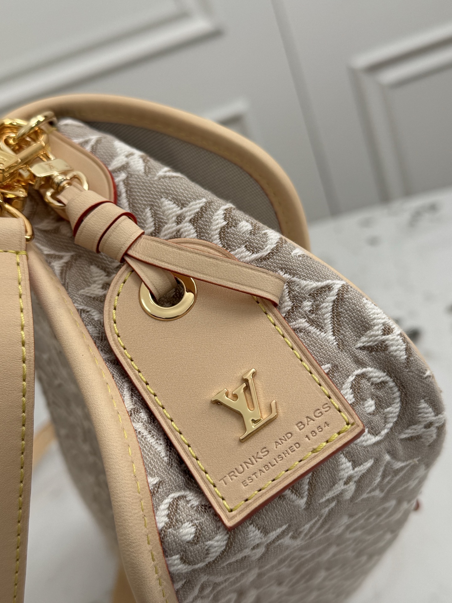 Diane Monogram Denim Crossbody Bag - Image 6