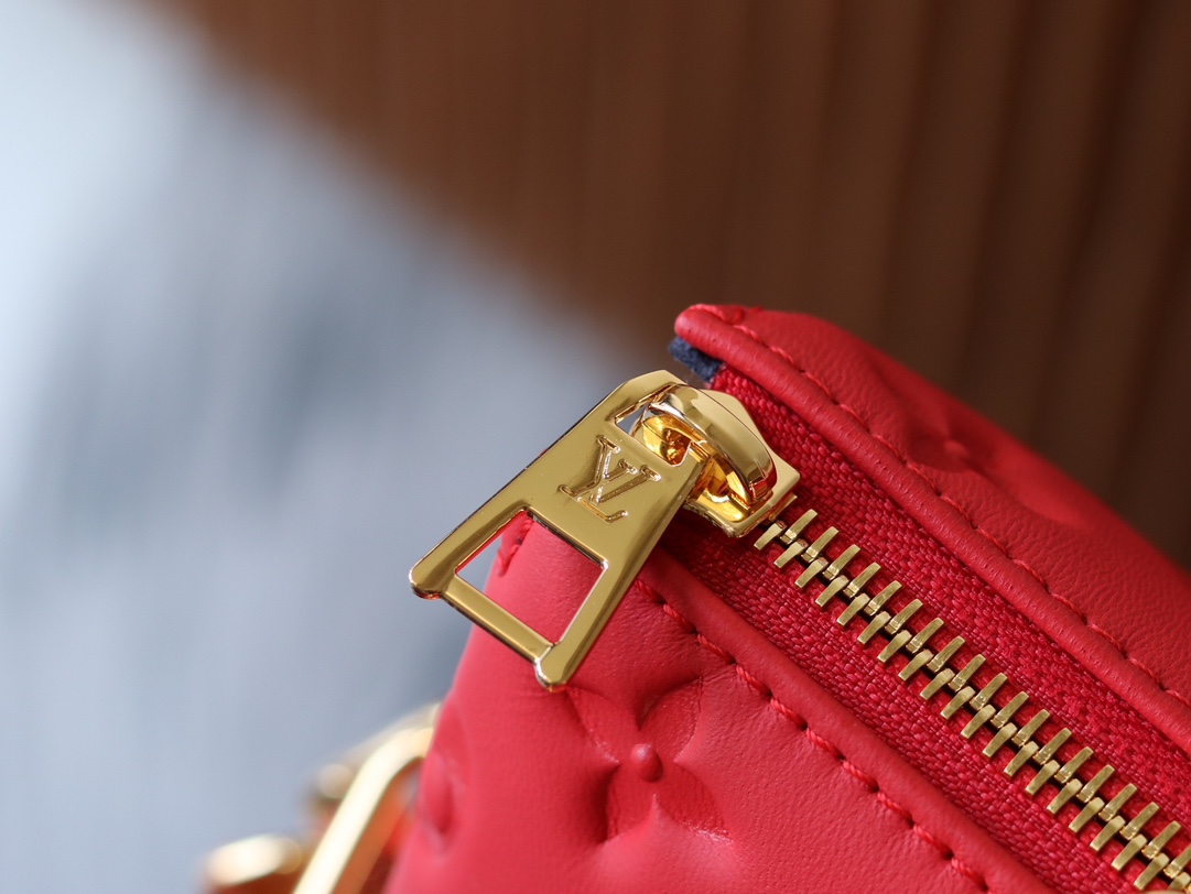 Louis Vuitton Coussin Small Lambskin Shoulder Bag M57790 - Image 6