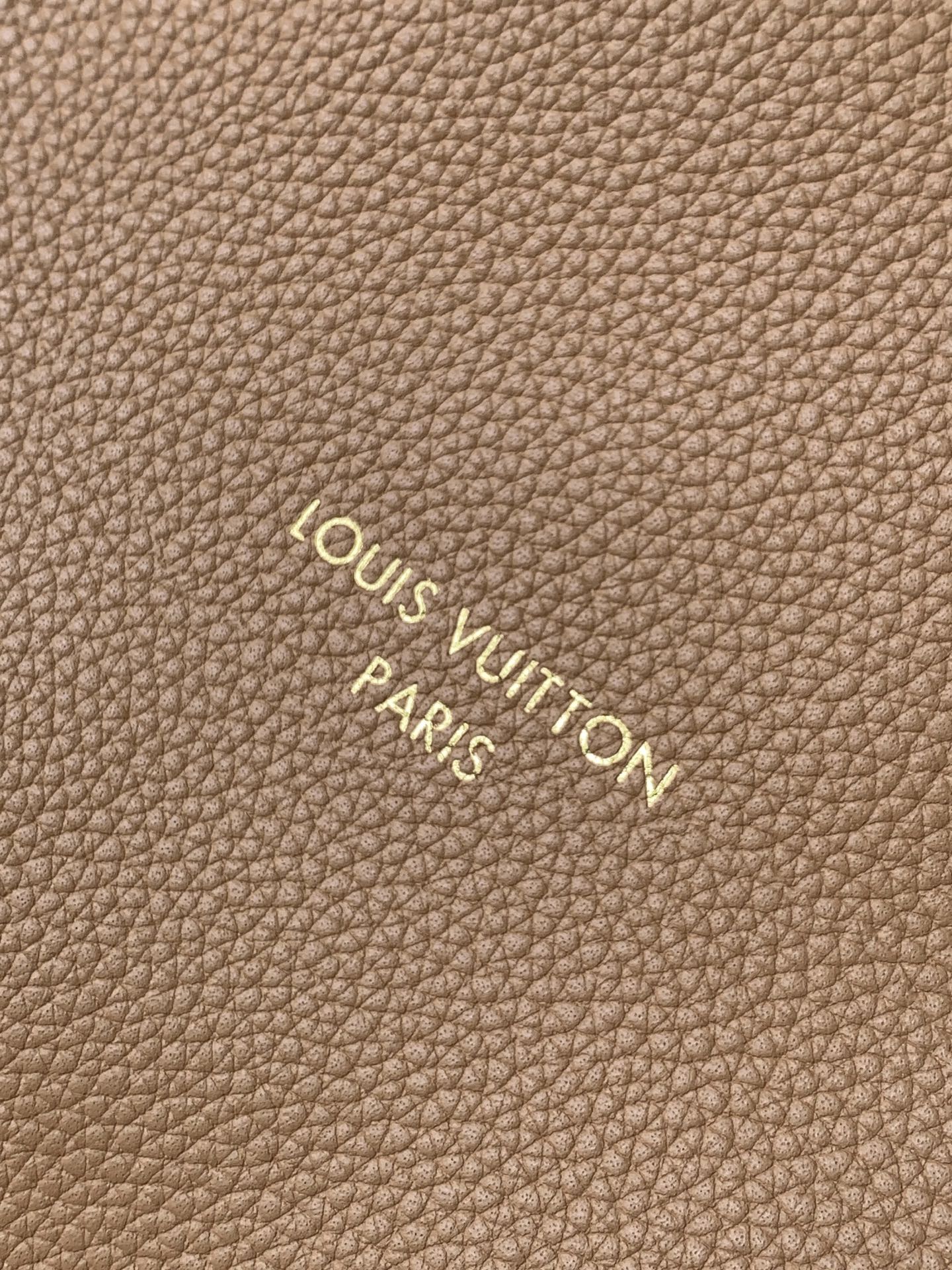 Louis Vuitton Express Medium Handbag in Monogram Canvas - Image 6