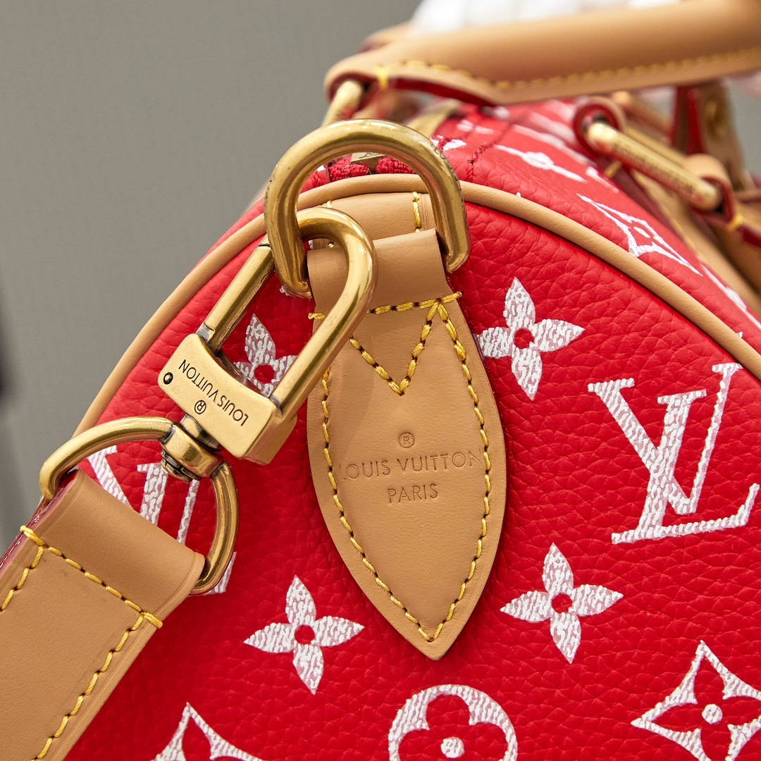Louis Vuitton Speedy P9 Bandoulière 25 Monogram Leather Crossbody Bag - Image 6