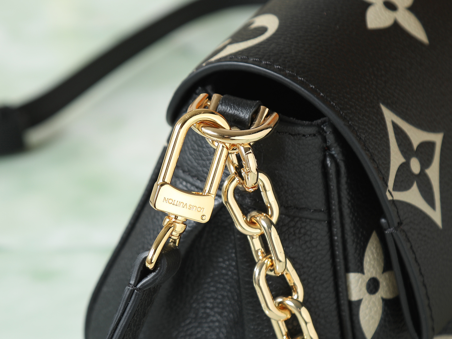 Louis Vuitton M45859 Favorite Monogram Leather Crossbody Bag - Image 6