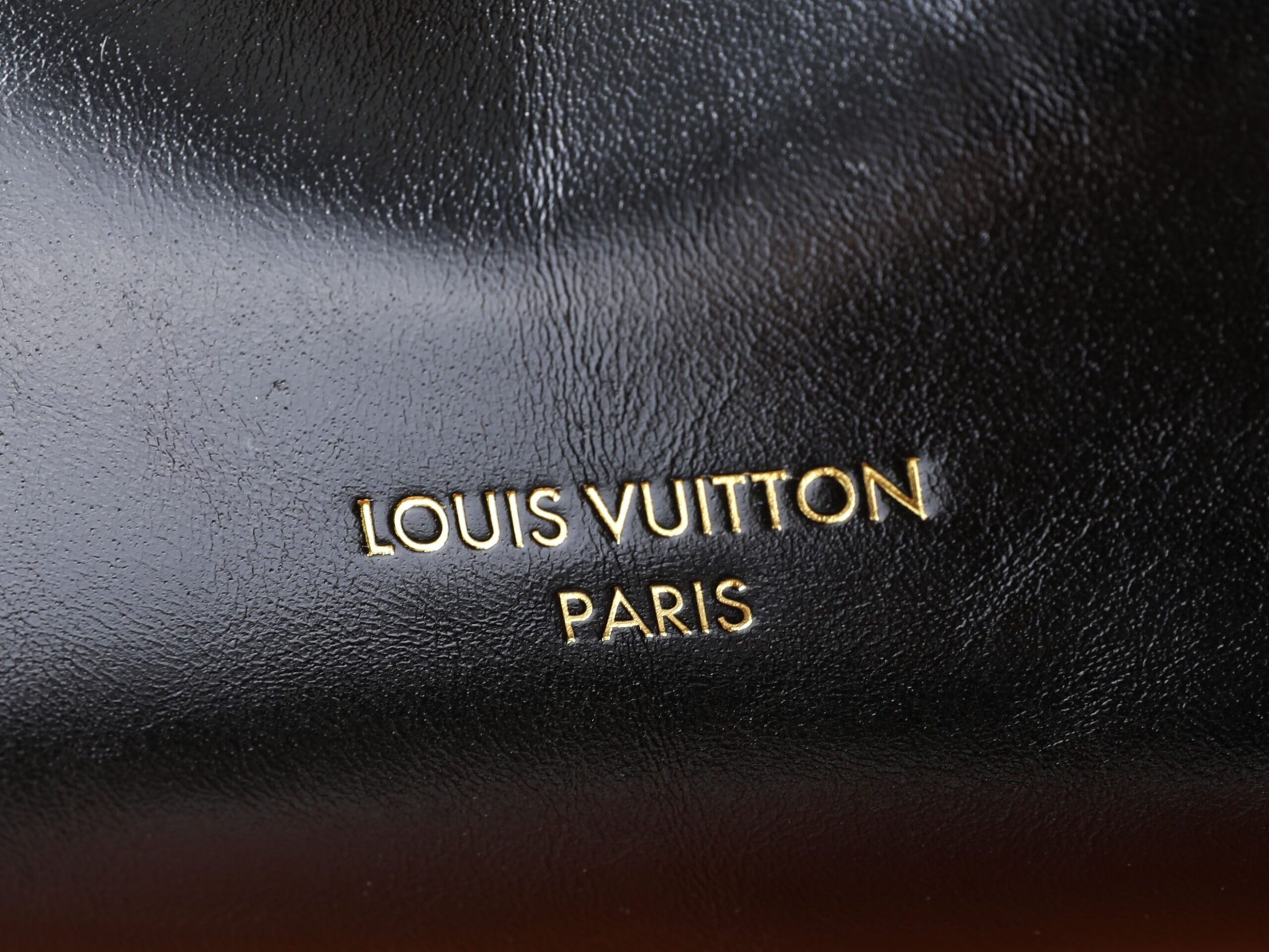 Multipass Handbag in Crackle Leather and Monogram Canvas - Image 6