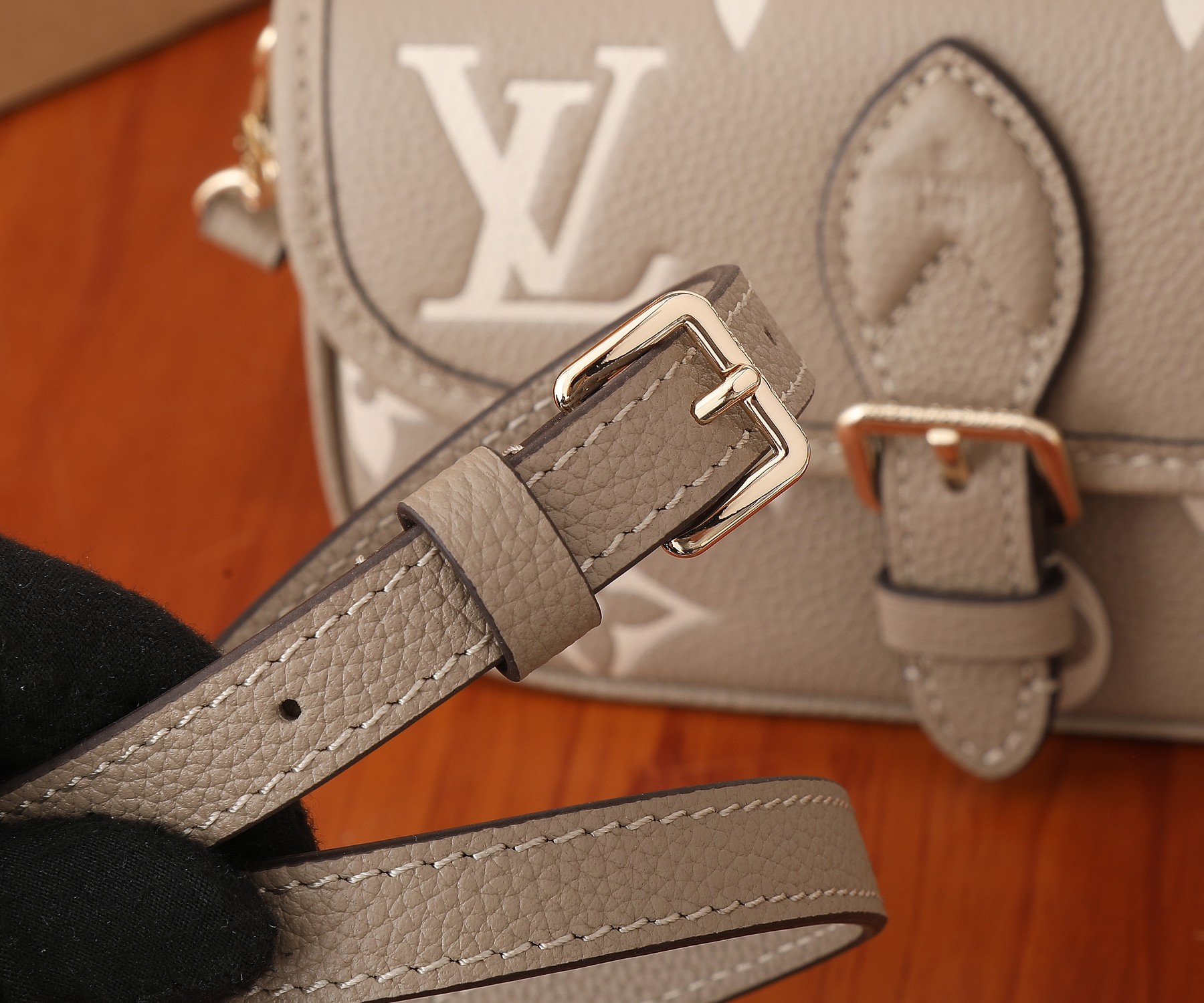 Louis Vuitton Nano Diane Monogram Empreinte Crossbody Bag - Image 6