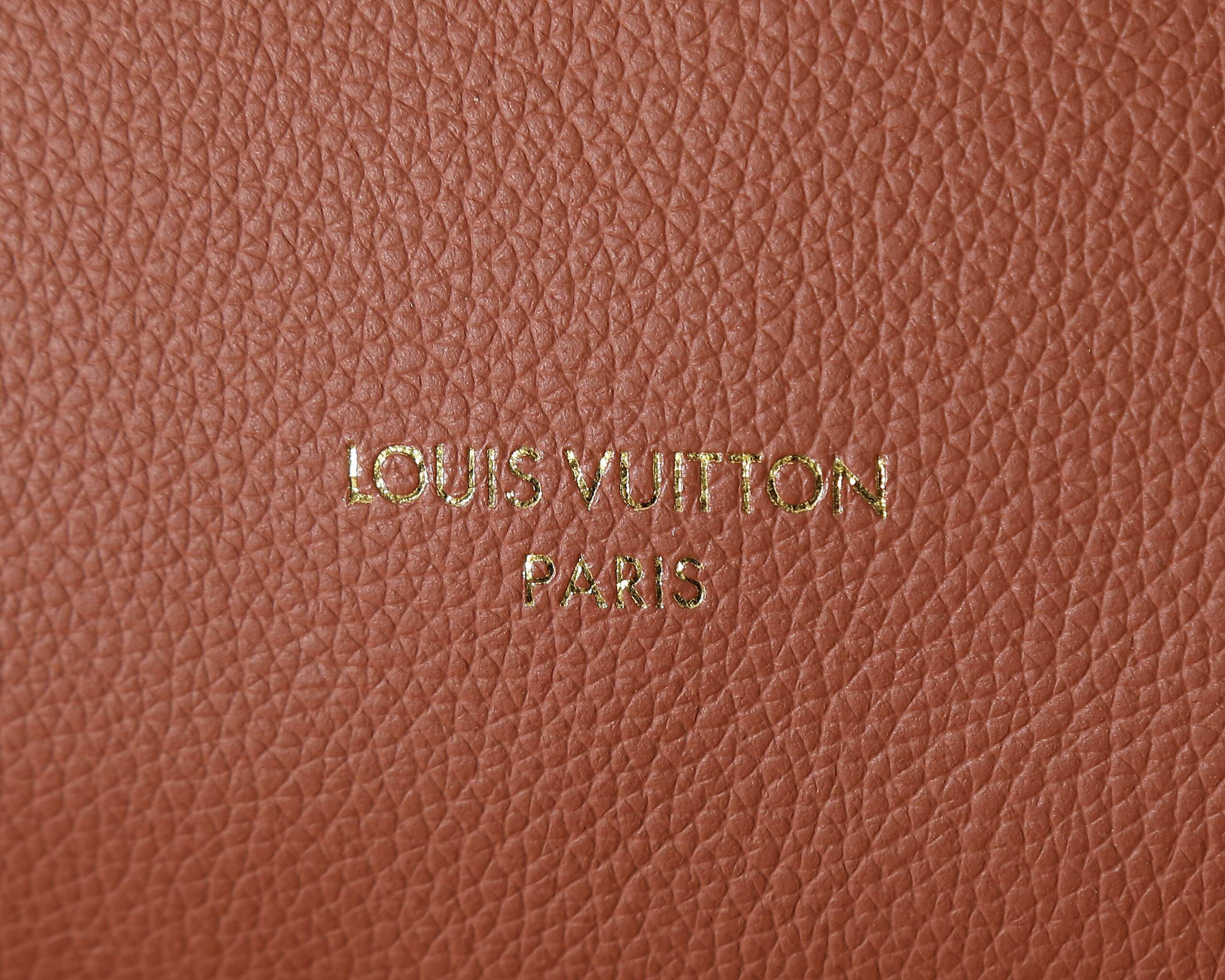 Louis Vuitton Low Key Duffle Tote in Black Grained Calfskin - Image 6
