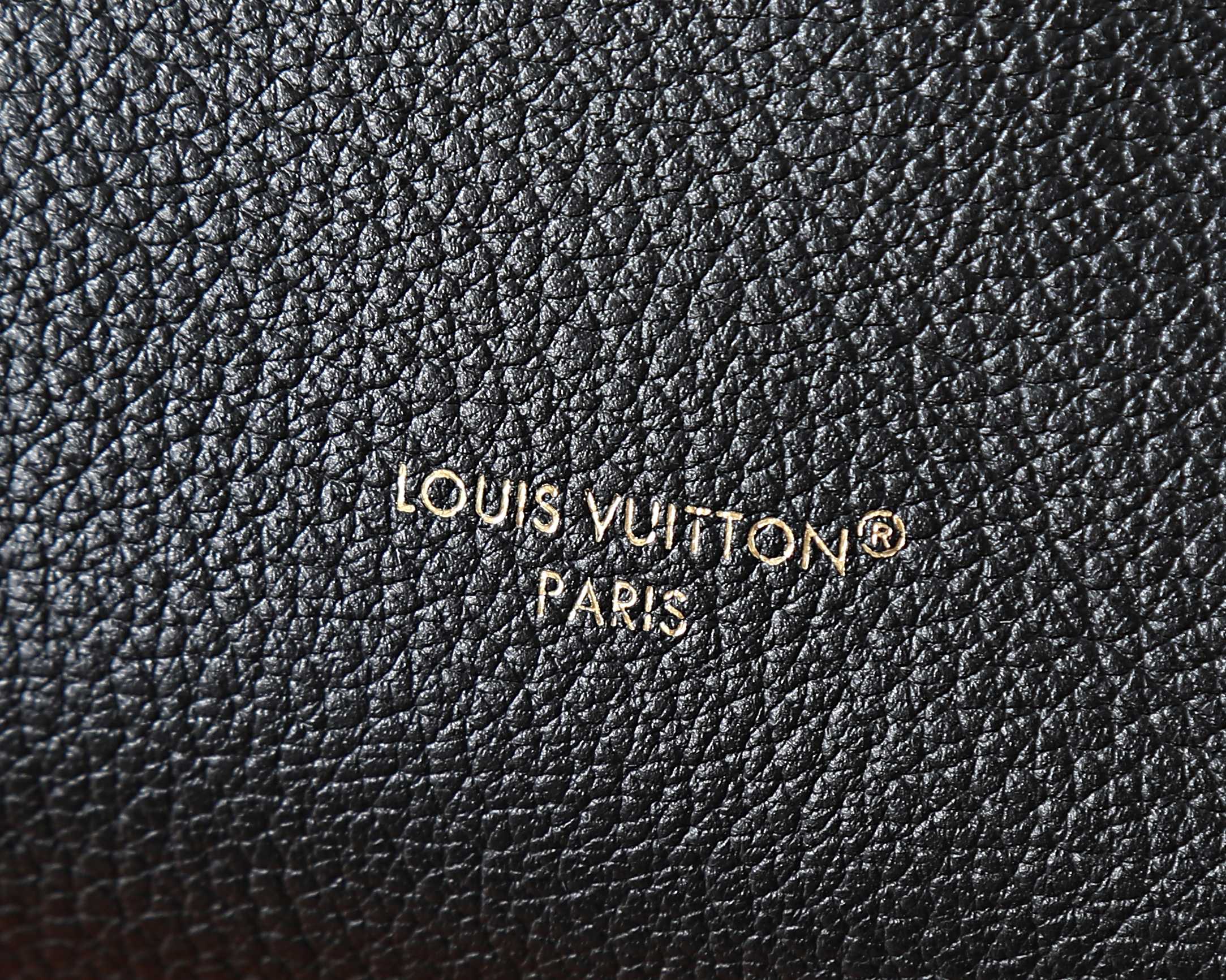 Louis Vuitton Noe Trunk Leather Bucket Bag - Image 6