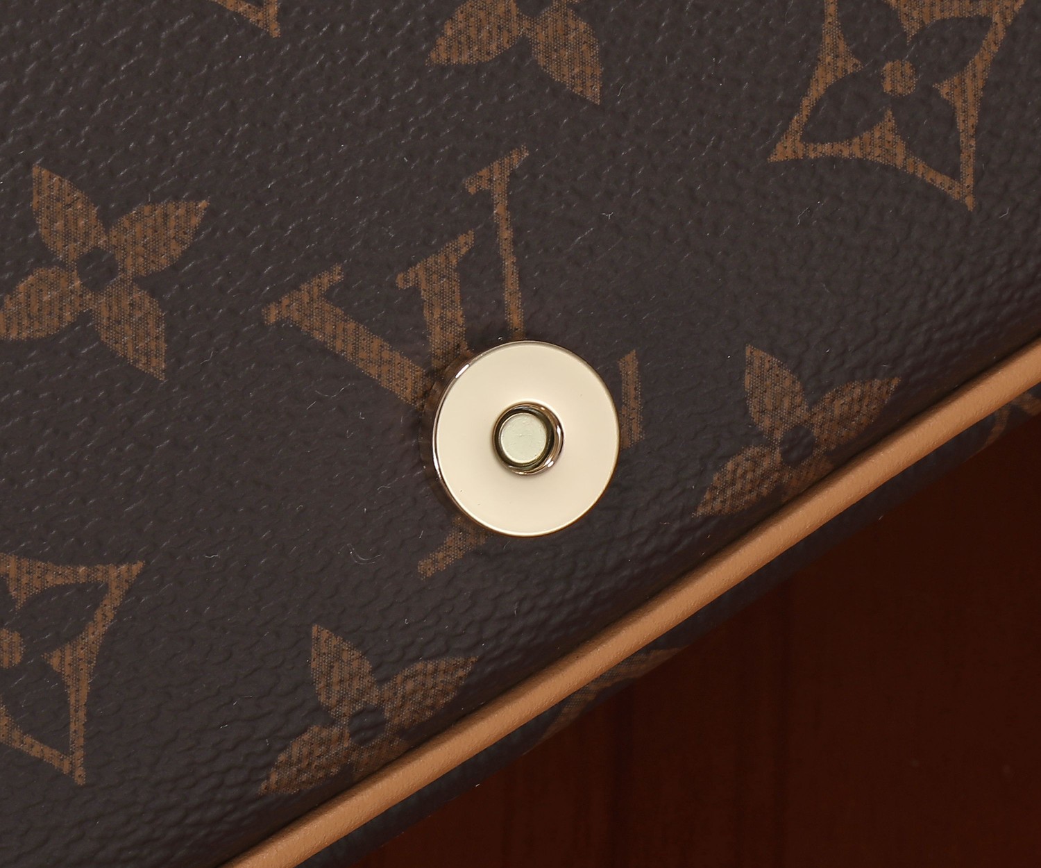 Diane Monogram Canvas Shoulder Bag - Image 6
