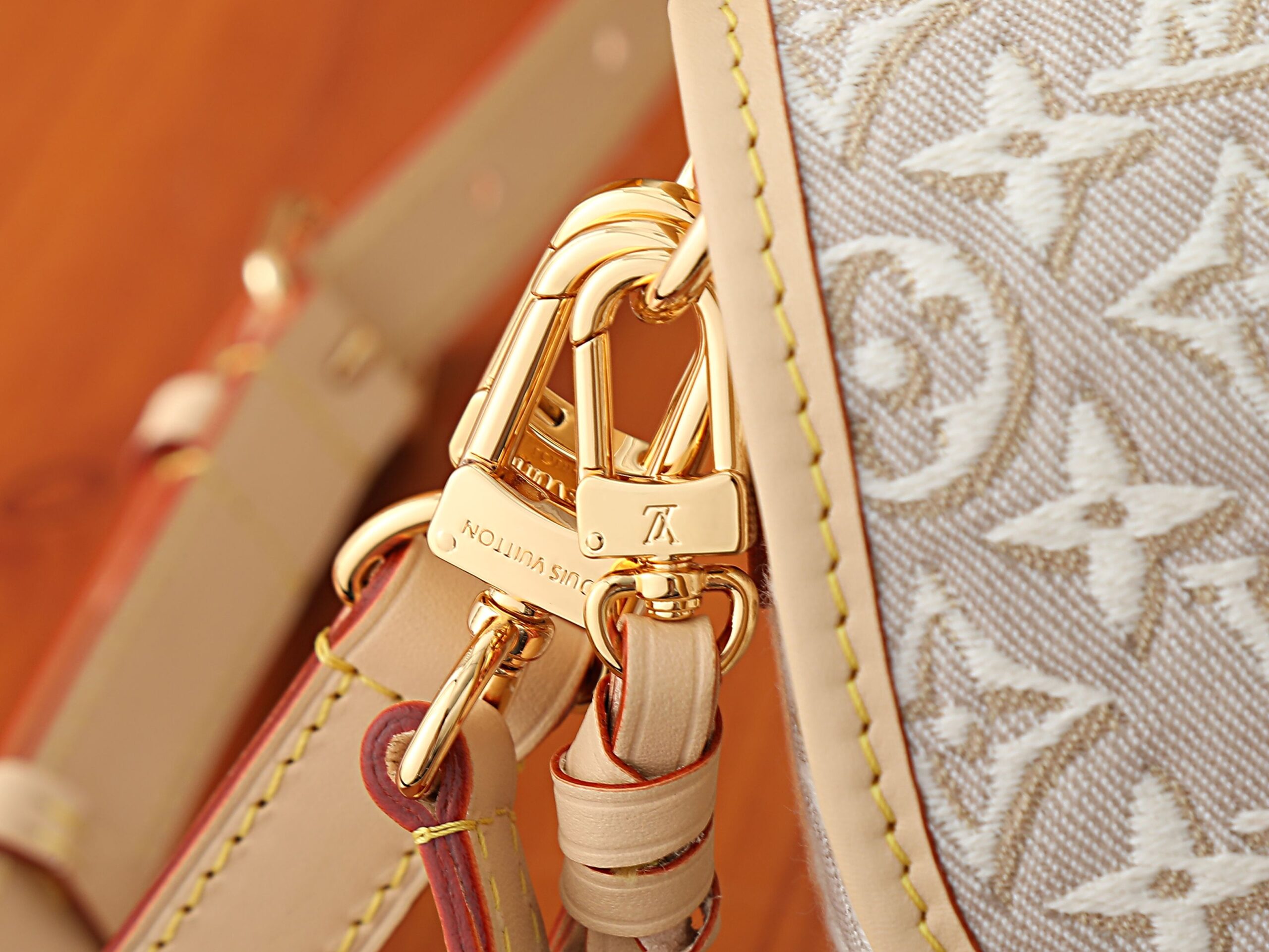 Louis Vuitton Diane Bag M29795 with Monogram Emblème - Image 6