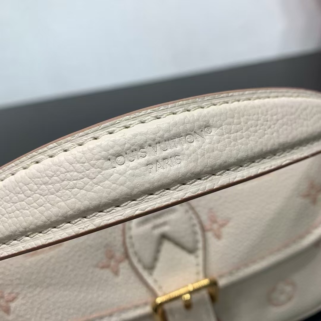 Louis Vuitton Nano Diane Monogram Crossbody Bag - Image 6