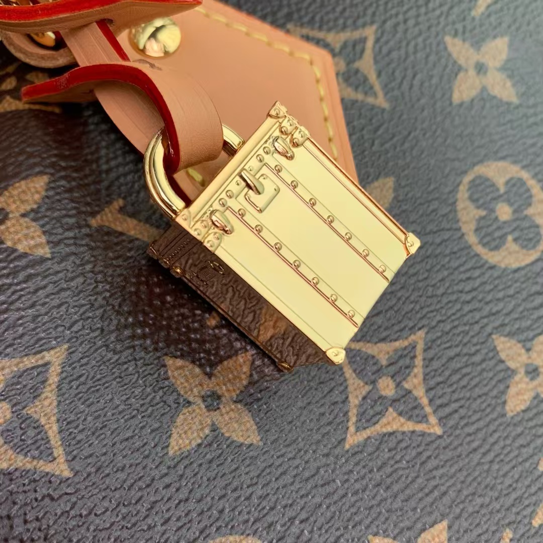 Louis Vuitton Speedy Soft 30 Dark Monogram Handbag - Image 6