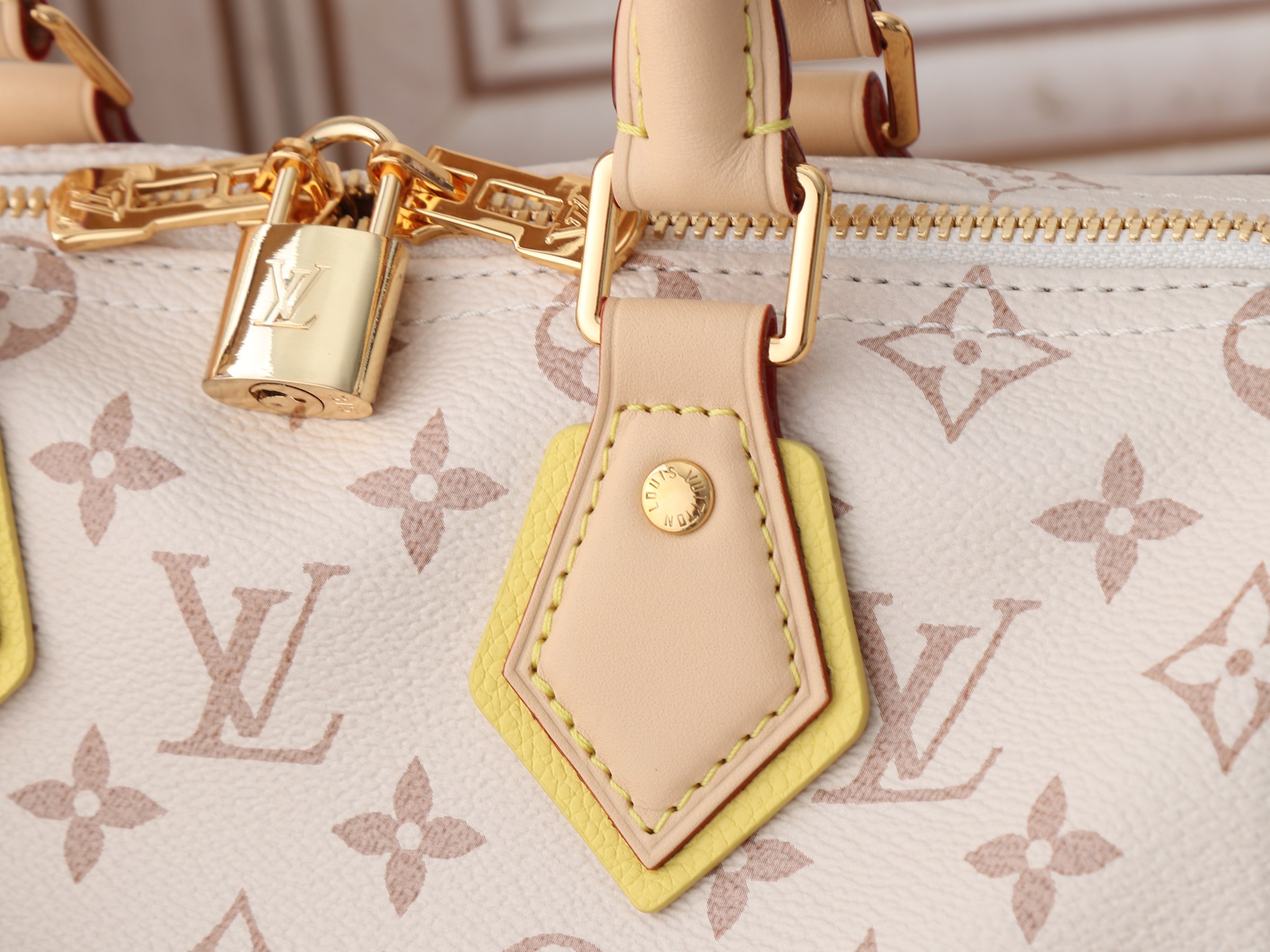 Louis Vuitton LV Crafty Speedy Bandouliere 25 Monogram Dune Handbag - Image 6