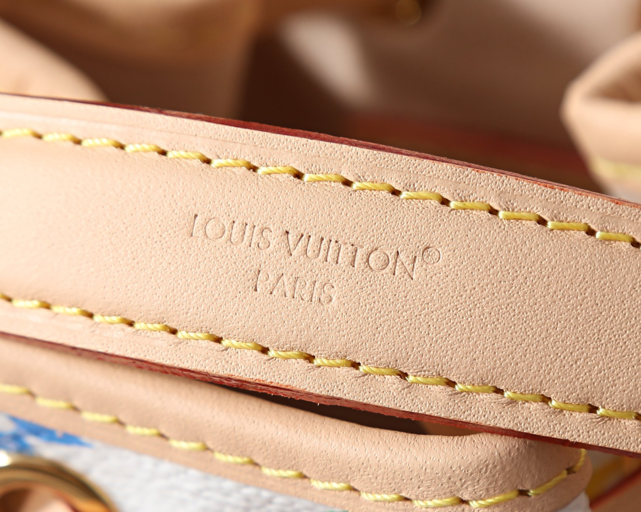 Louis Vuitton x Takashi Murakami Nano Noe Bag - Image 6