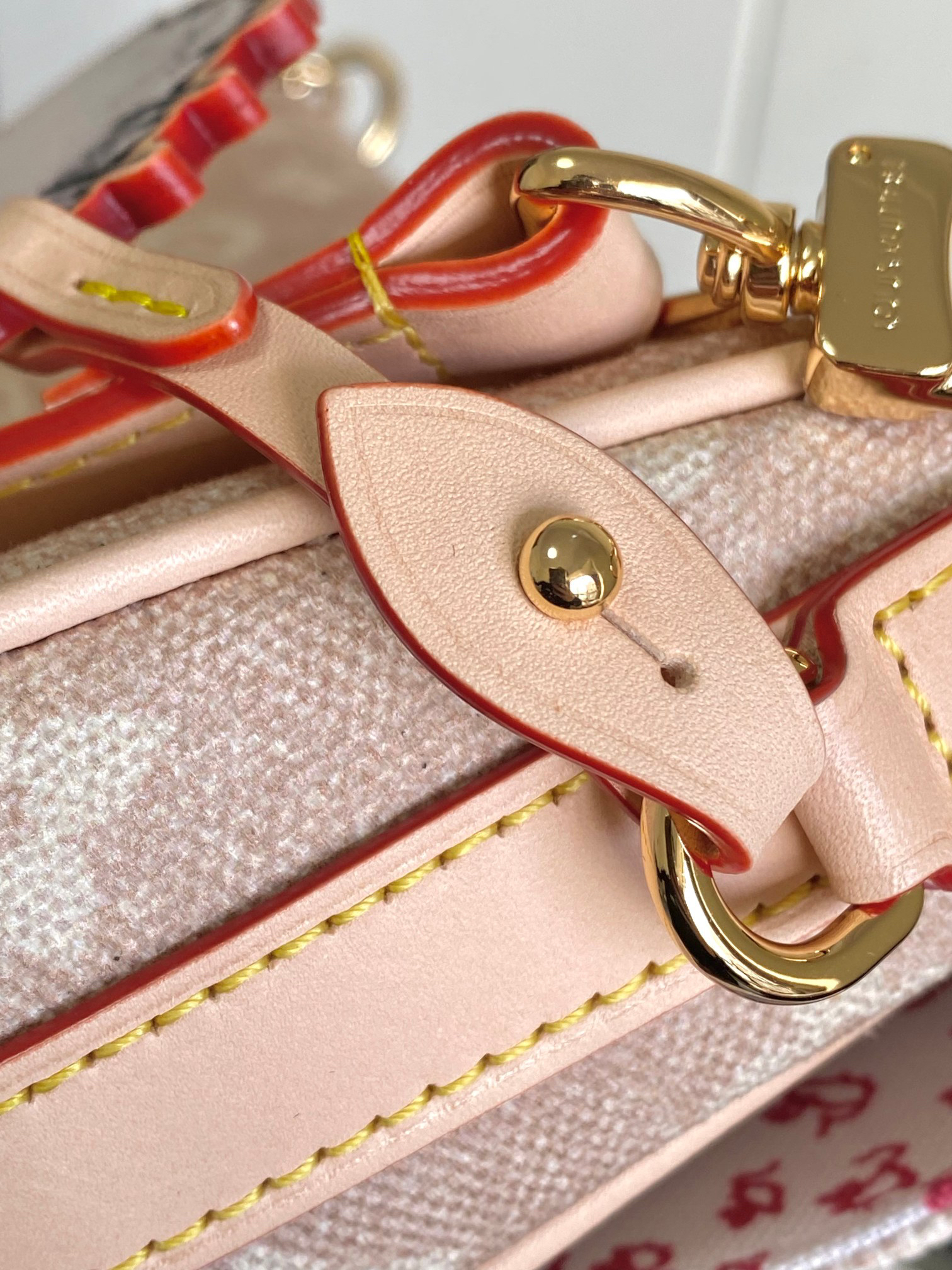 Louis Vuitton Escape Meowgram Canvas Crossbody Bag - Image 6