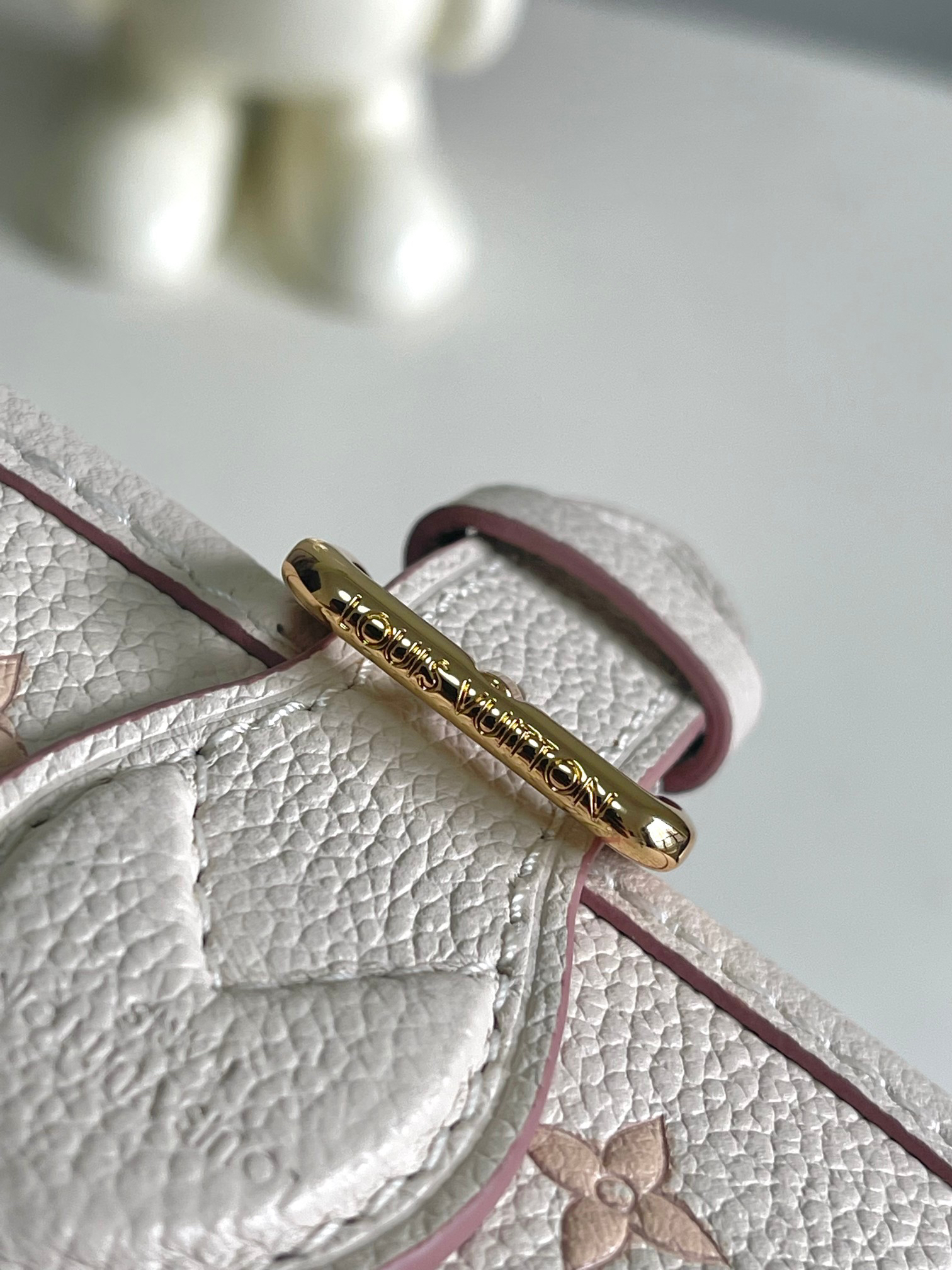 Nano Diane Crossbody Bag in White Monogram - Image 6