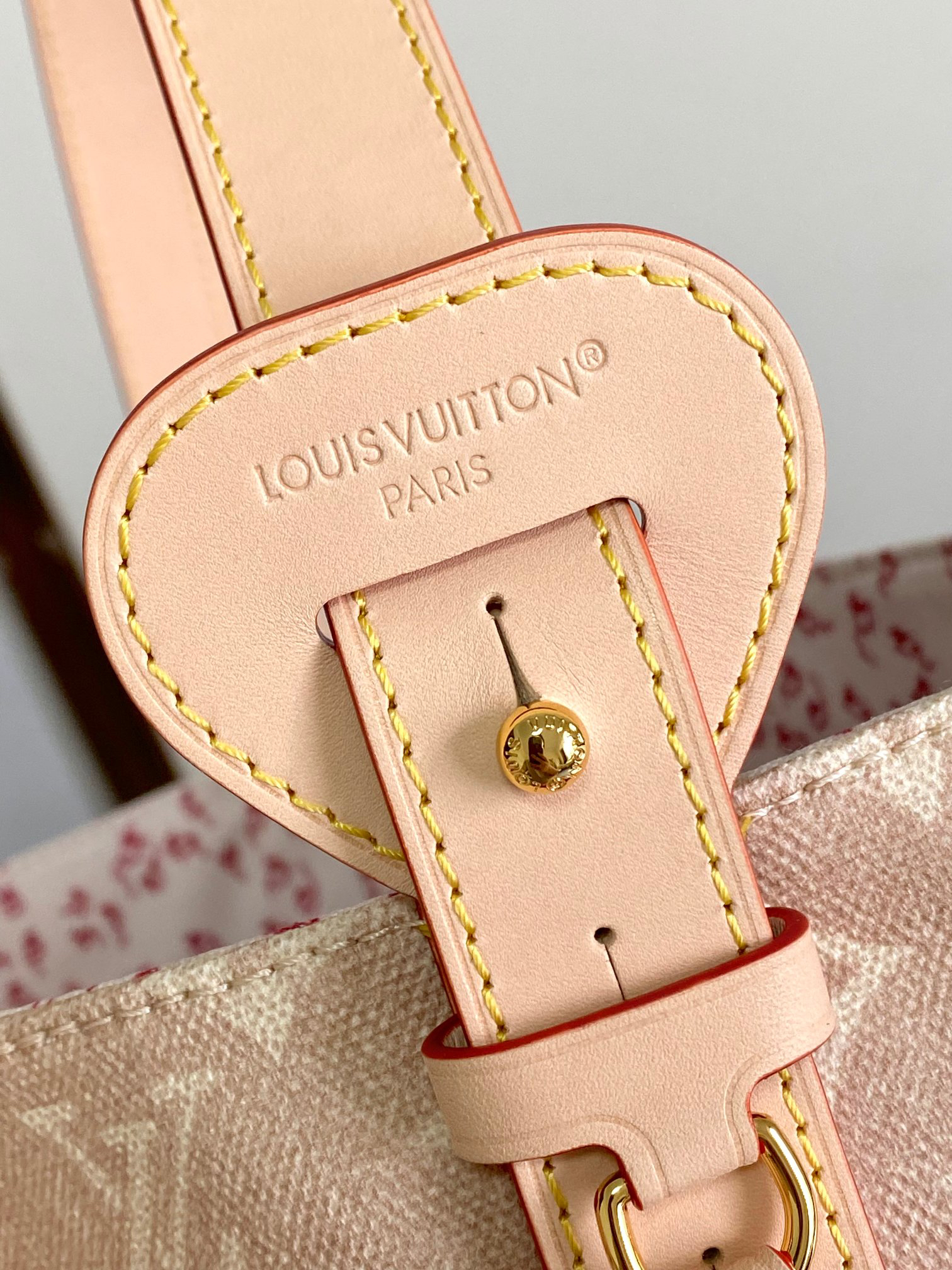 Louis Vuitton LV Travels With Meowgram Large Tote Bag - Image 6