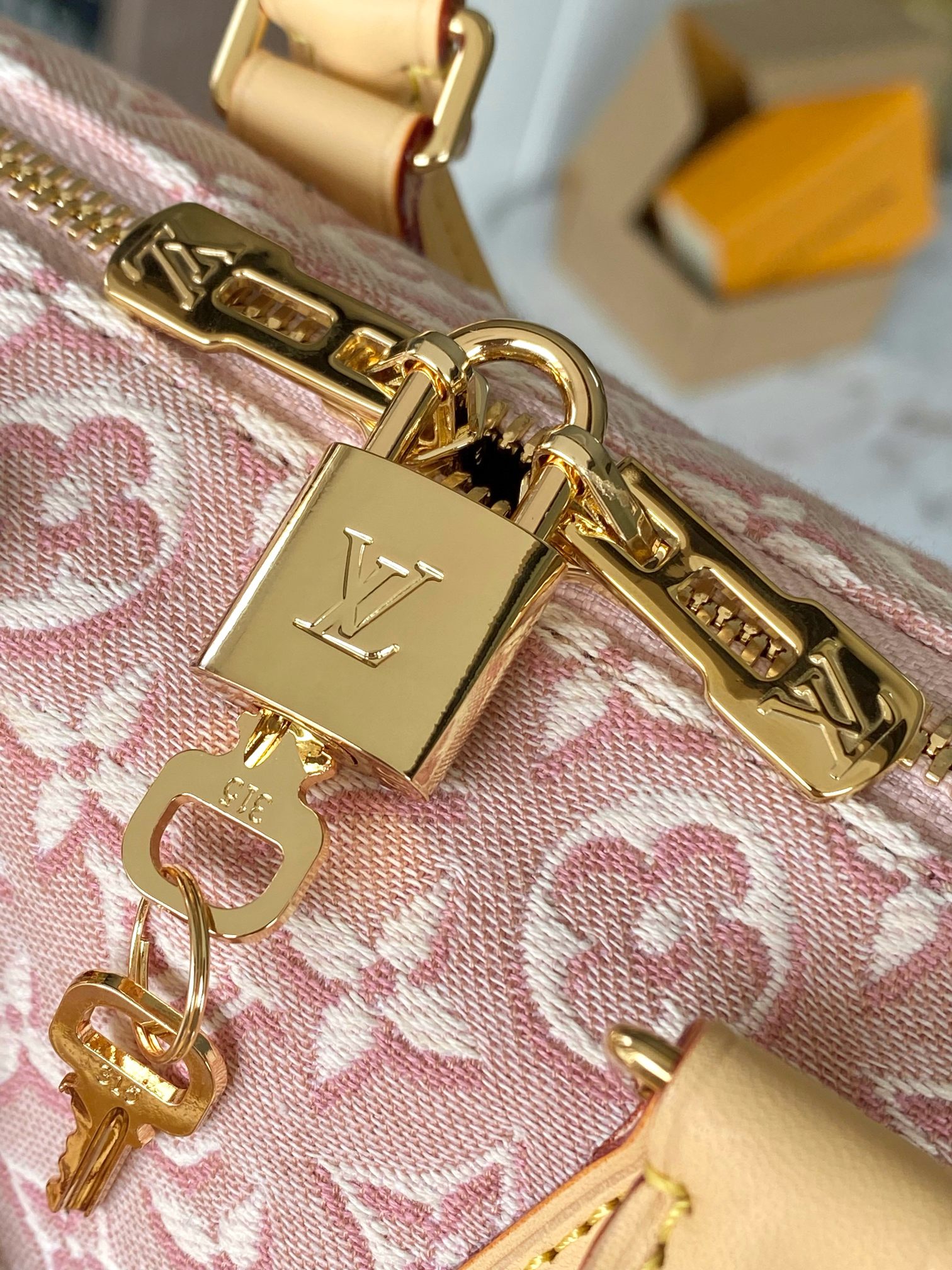 Louis Vuitton Speedy 20 Bandouliere Handbag - Image 6