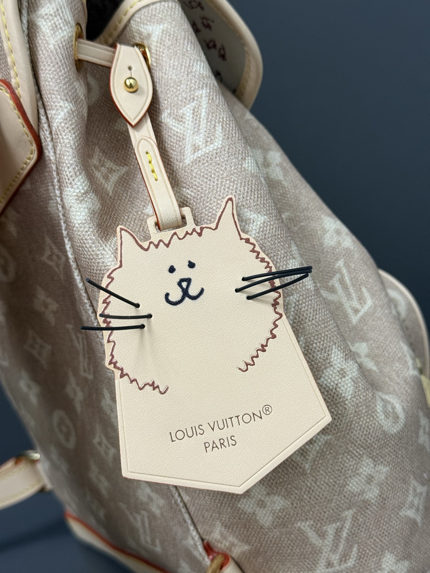 Louis Vuitton Montsouris Small Backpack – Meowgram - Image 6