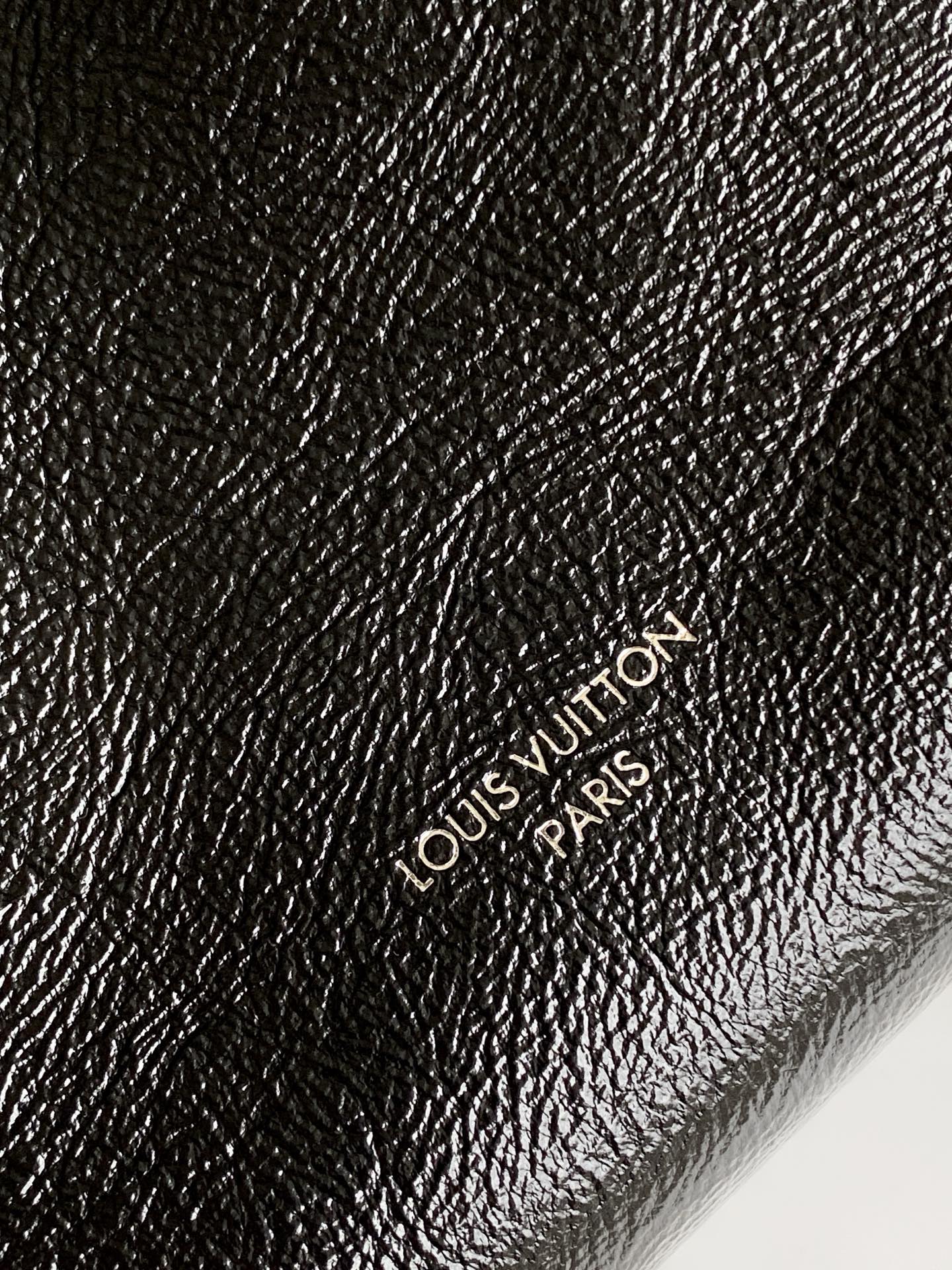 Louis Vuitton Express Small Crossbody Bag in Black Oiled Leather - Image 6