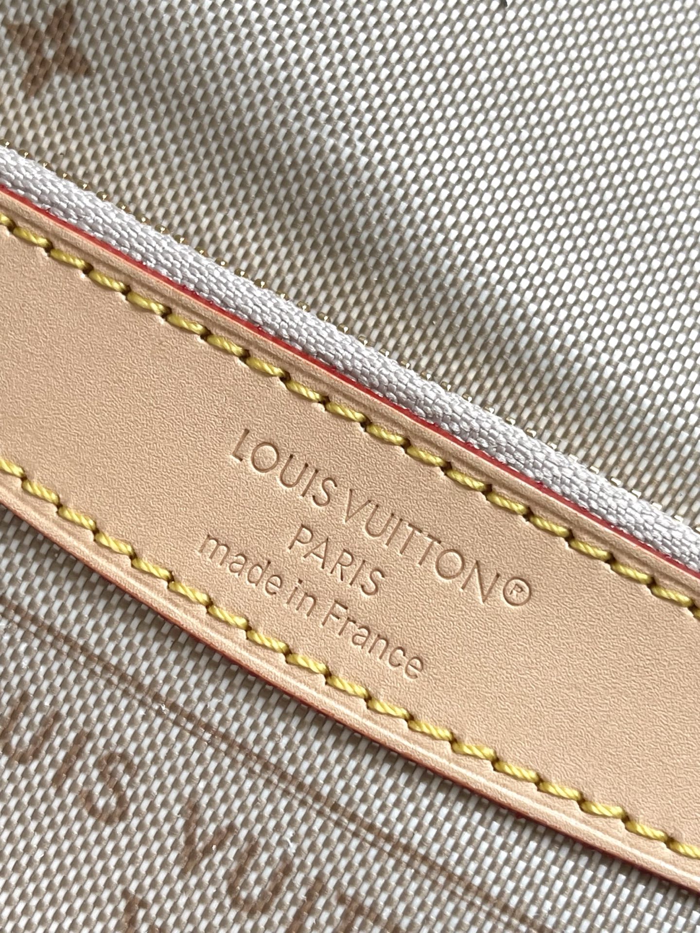 Louis Vuitton Diane Monogram Emblème Crossbody Bag M29795 - Image 6