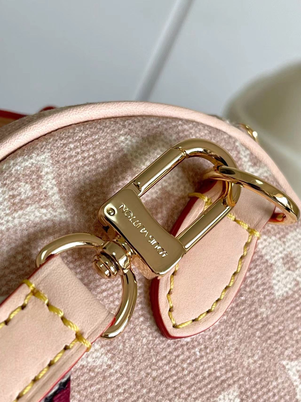 Louis Vuitton Speedy 20 Bandoulière Crossbody Bag in Meowgram Canvas - Image 6