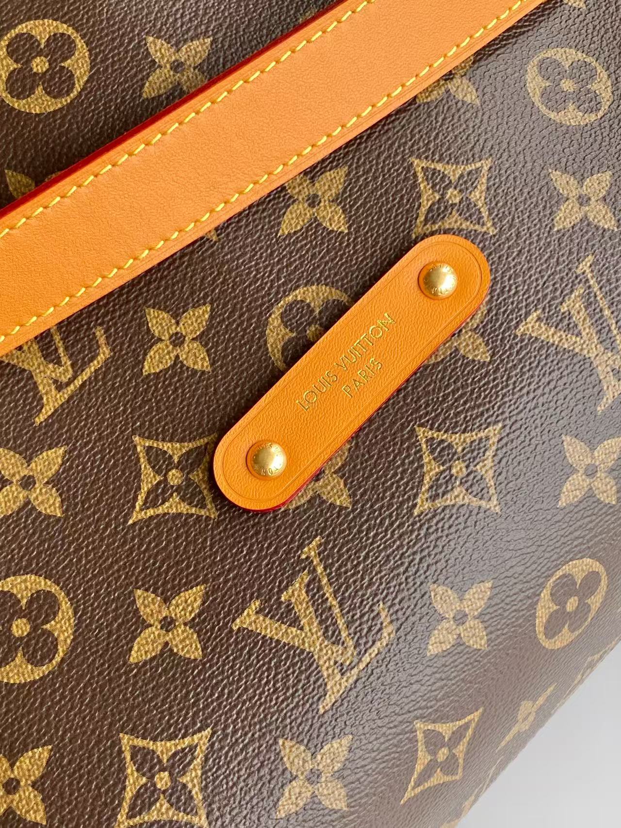 Louis Vuitton Métis Handbag M29596 - Image 6