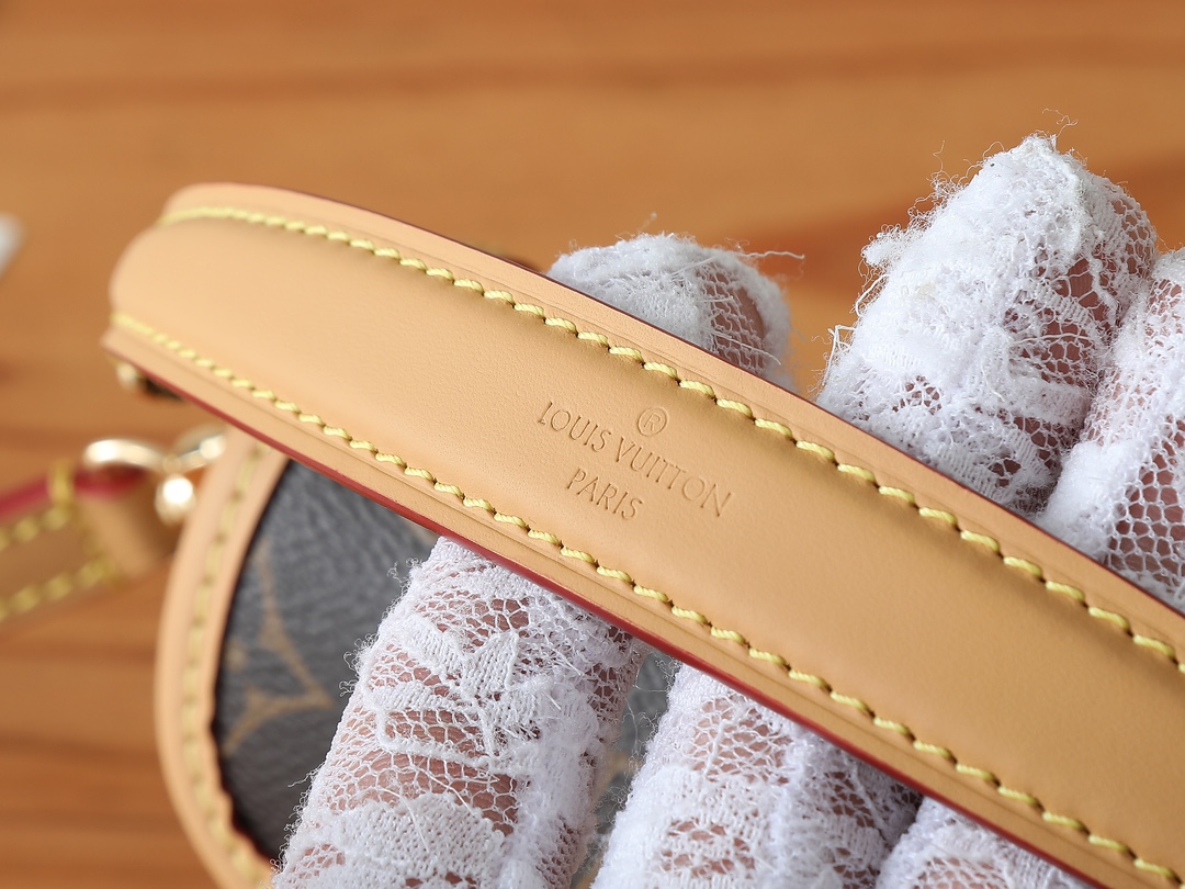 Louis Vuitton Nano Diane Monogram Canvas and Leather Bag - Image 6