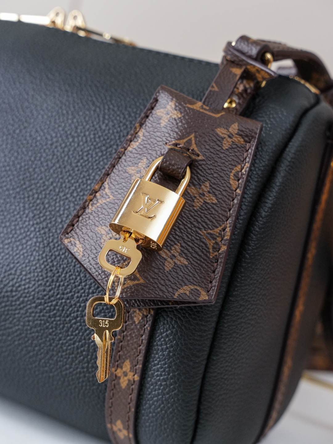 Louis Vuitton Express Small Handbag in Monogram Canvas - Image 6