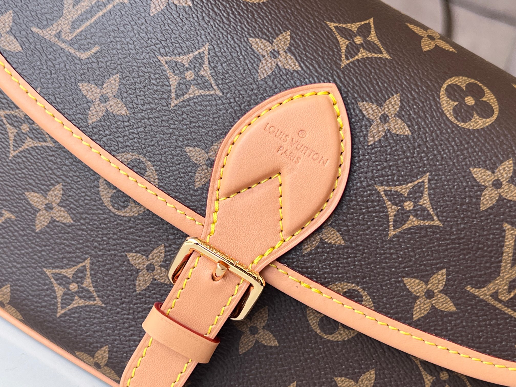 DIANE M45985 Monogram Leather Crossbody Bag - Image 6