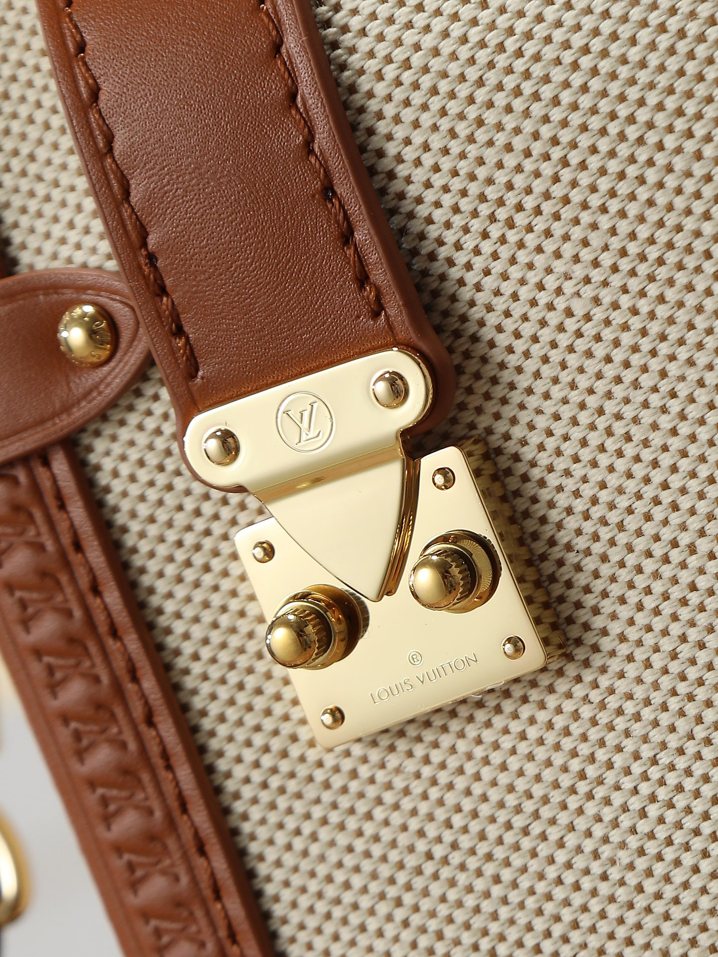 Louis Vuitton Side Trunk Medium Shoulder Bag in Natural Canvas - Image 6