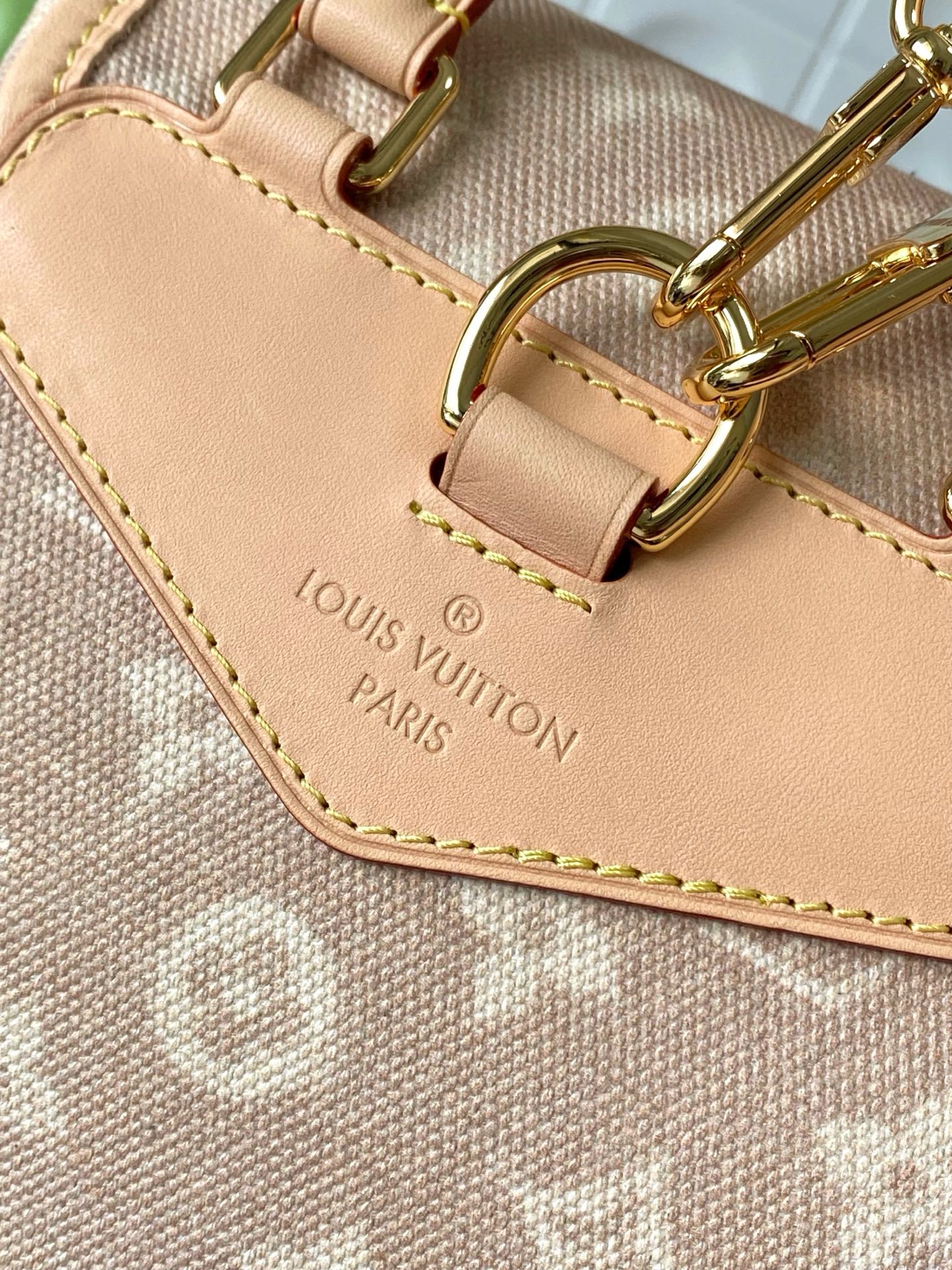 Louis Vuitton Montsouris Small Backpack in Meowgram Canvas - Image 6