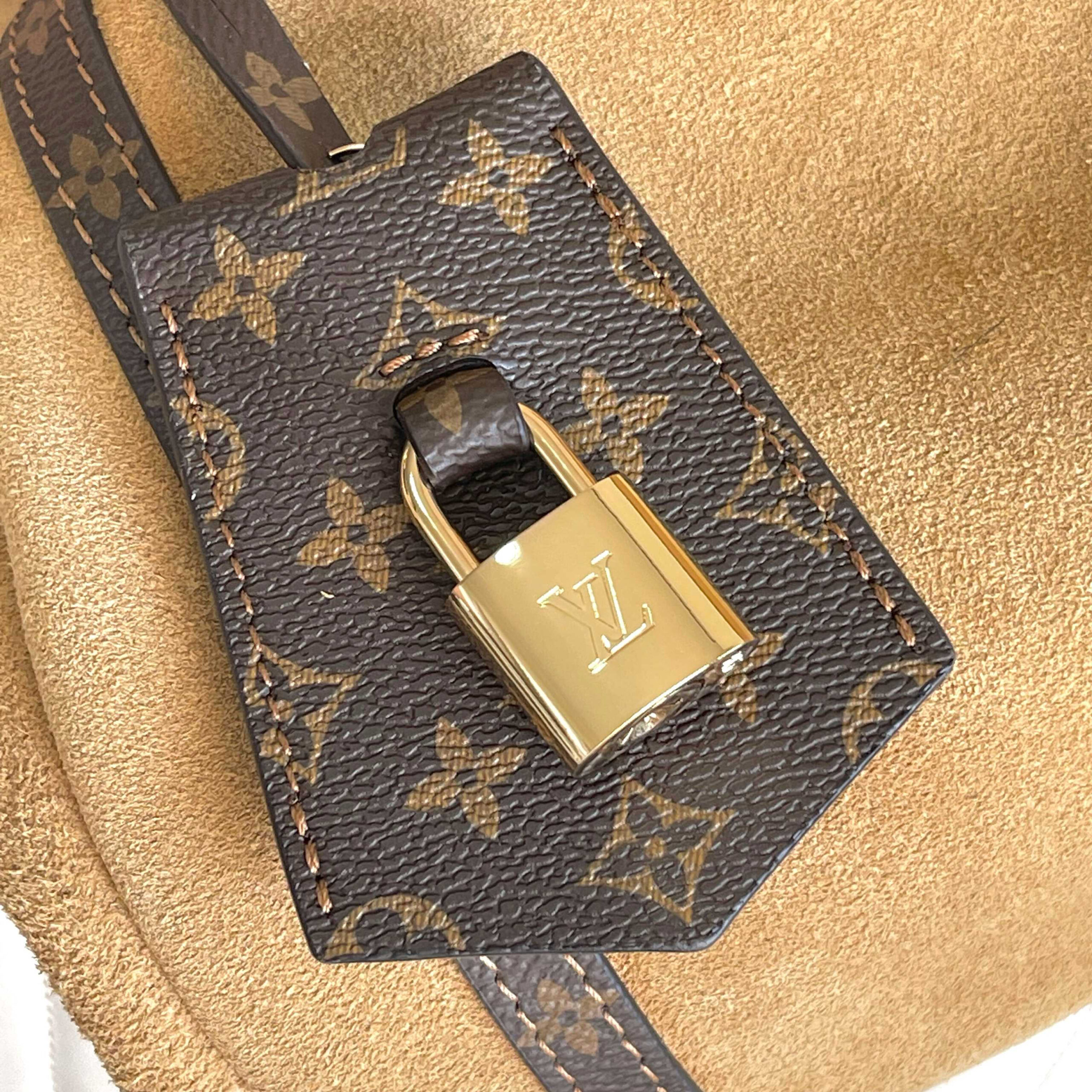 Louis Vuitton Express Medium Crossbody Handbag - Image 6