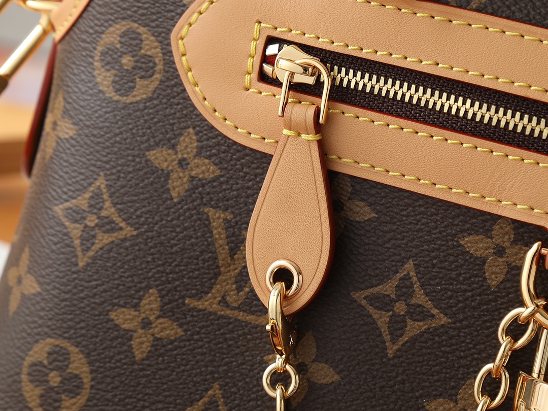 Ever More PM Monogram Canvas Handbag - Image 6