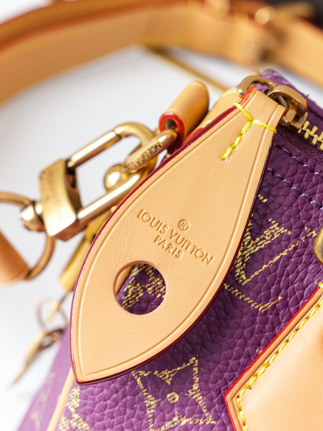 Speedy Bandoulière 20 Handbag - Image 6